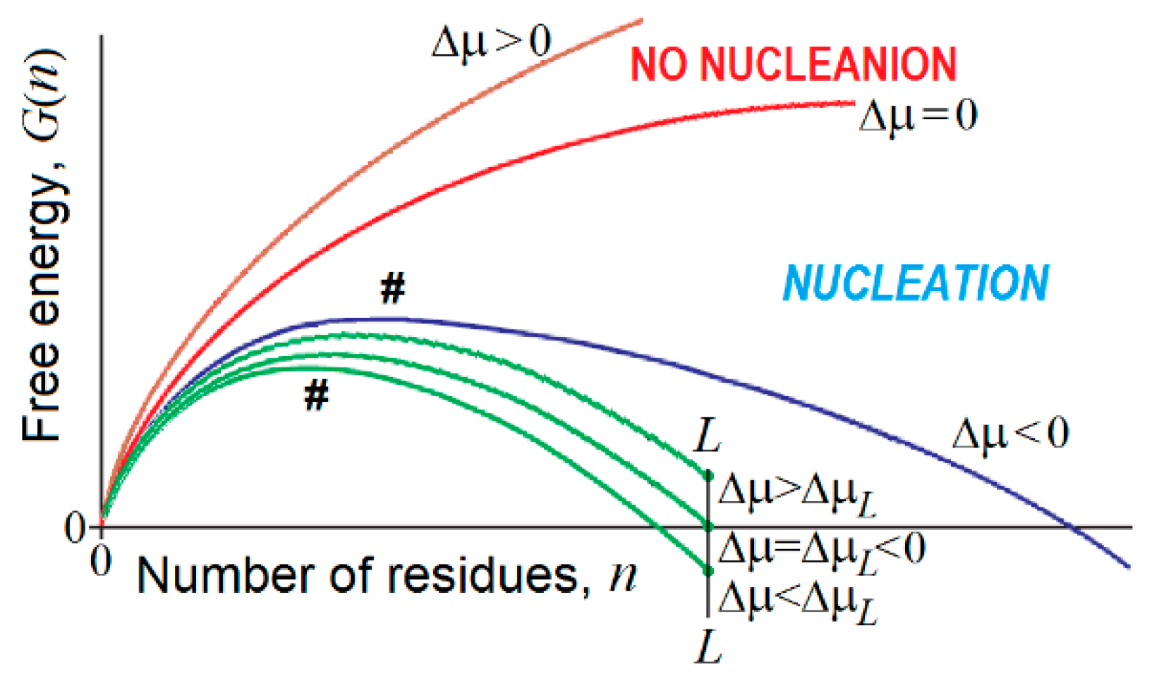 Biomolecules 09 00842 g005