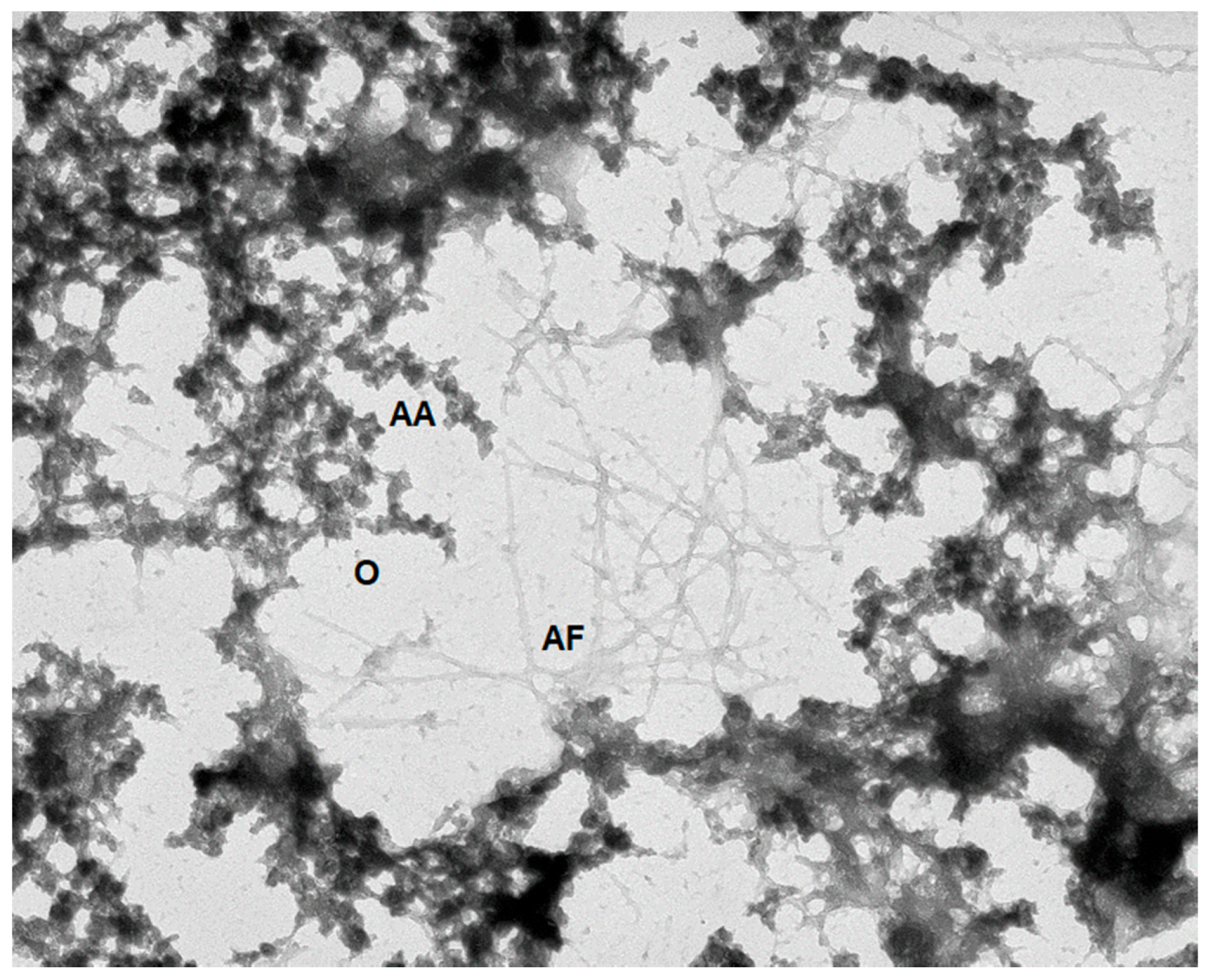 Biomolecules 09 00842 g008