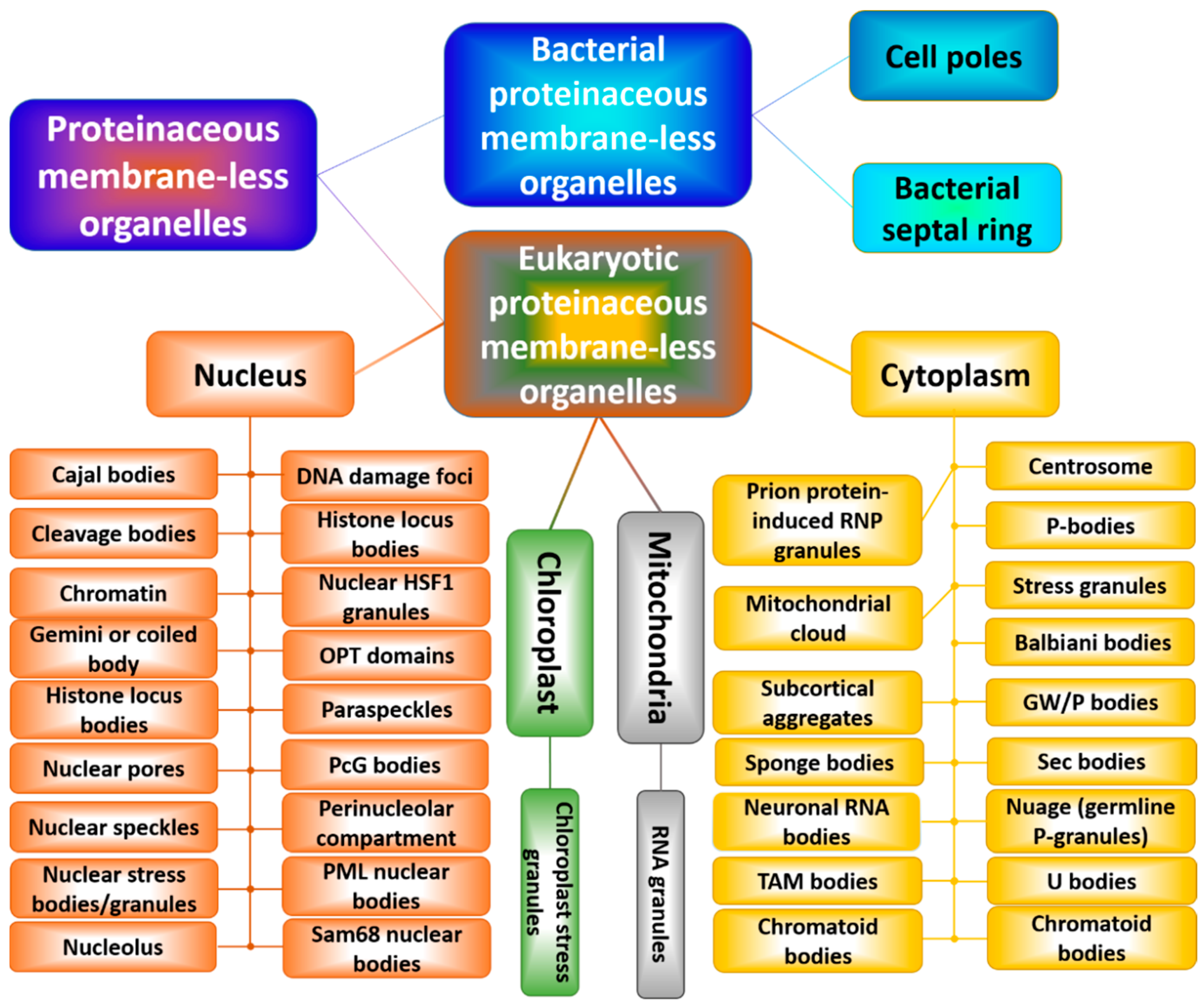 Biomolecules 09 00842 g009