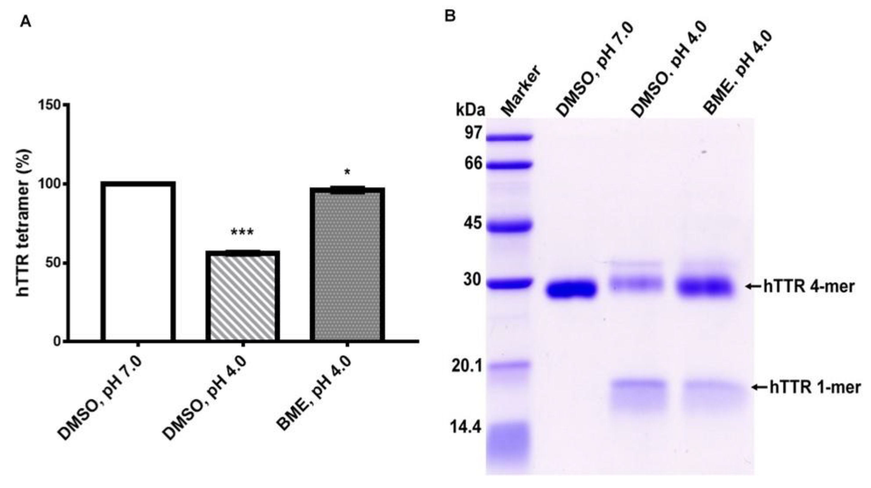 Biomolecules 09 00845 g003