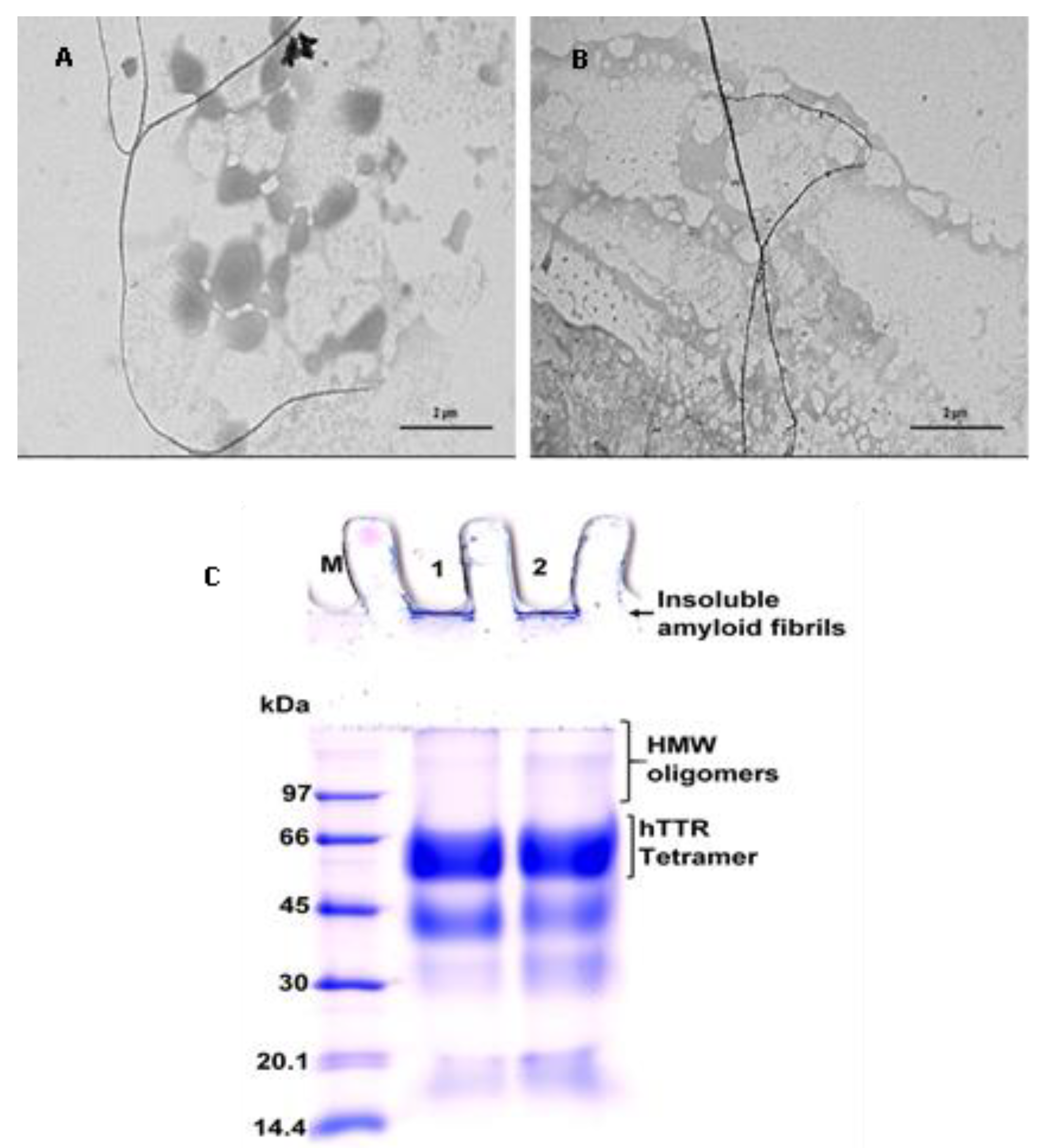 Biomolecules 09 00845 g005