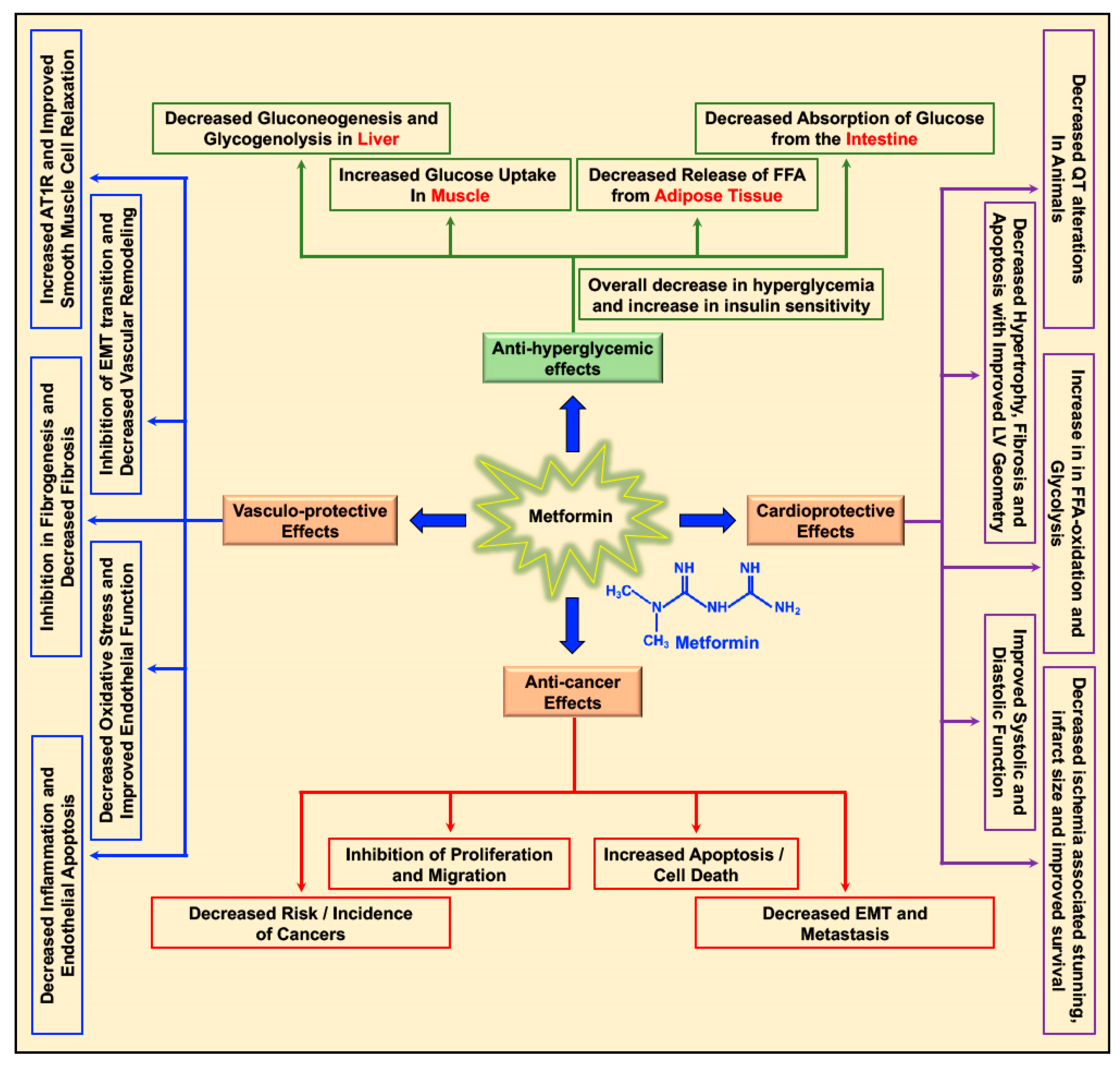 Biomolecules 09 00846 g001