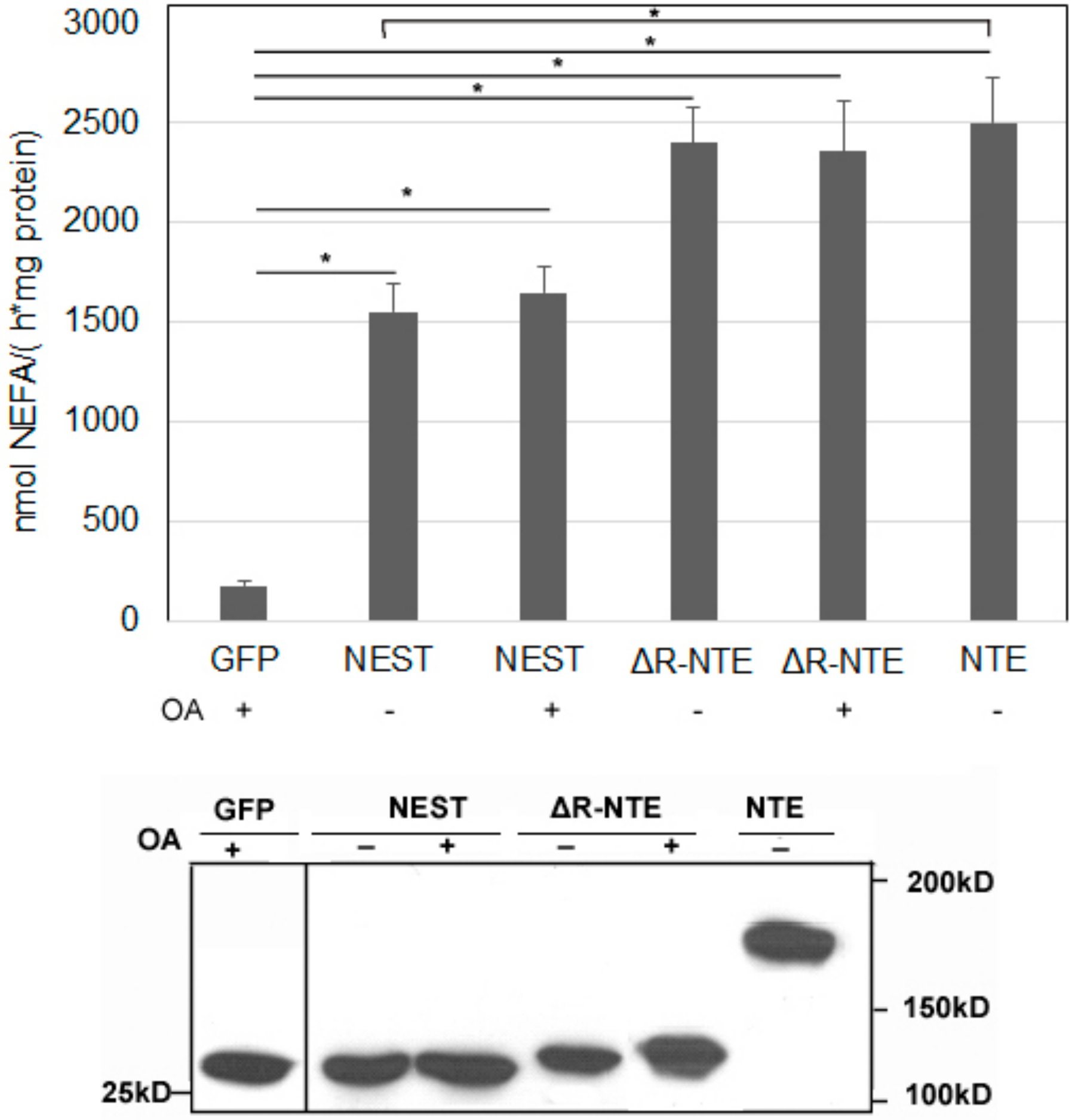 Biomolecules 09 00848 g006
