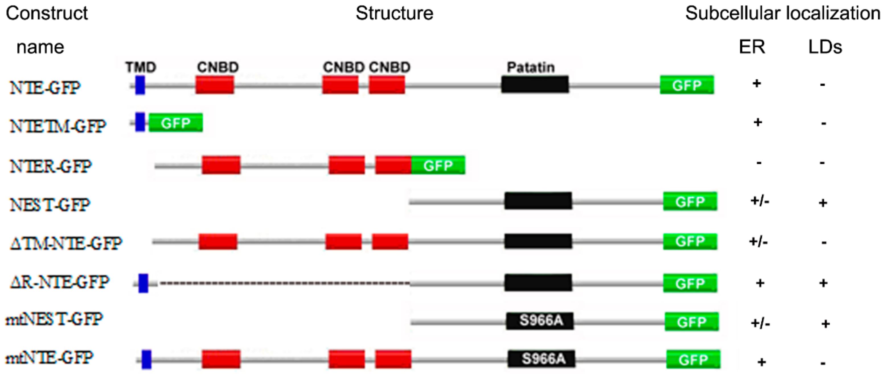Biomolecules 09 00848 g008