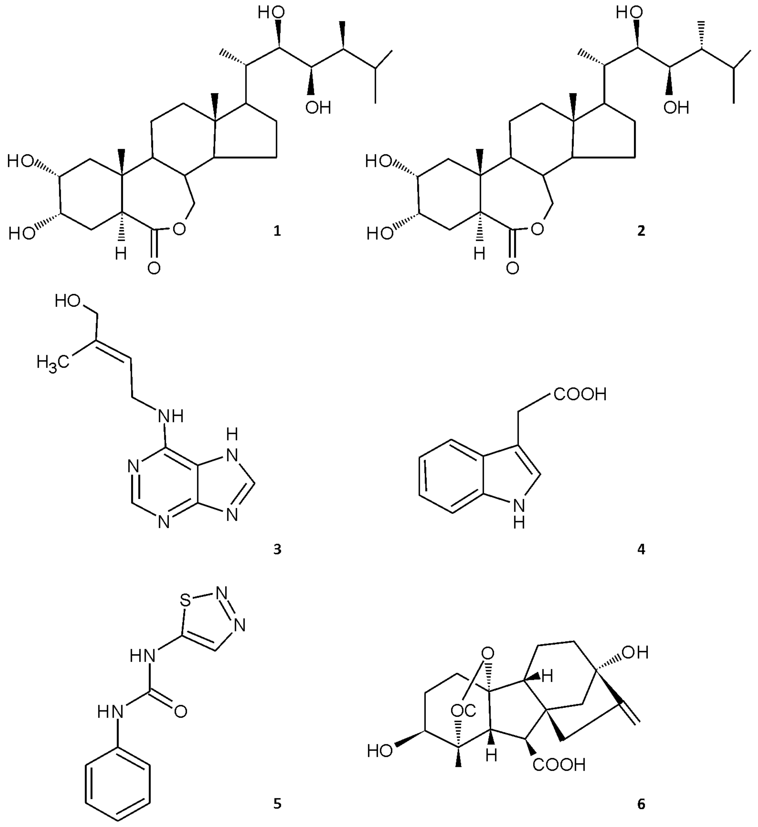 Biomolecules 09 00849 g002