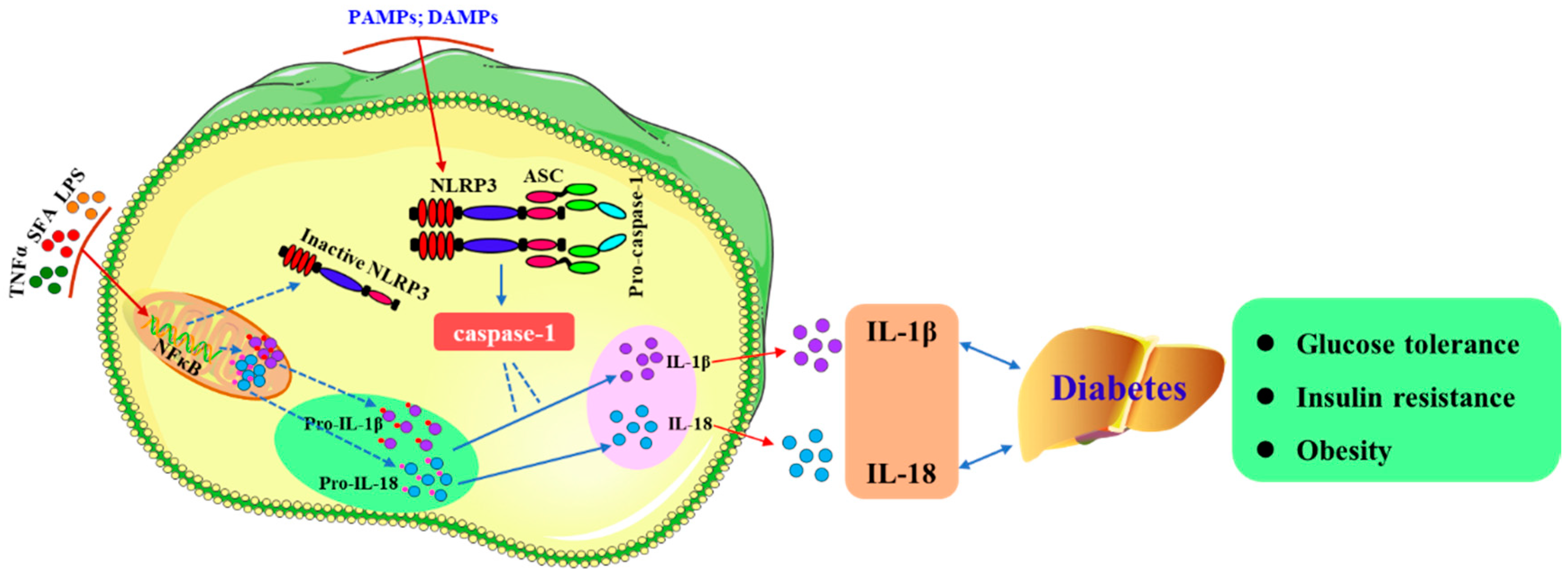 Biomolecules 09 00850 g001 Biomolecules 09 00850 g001