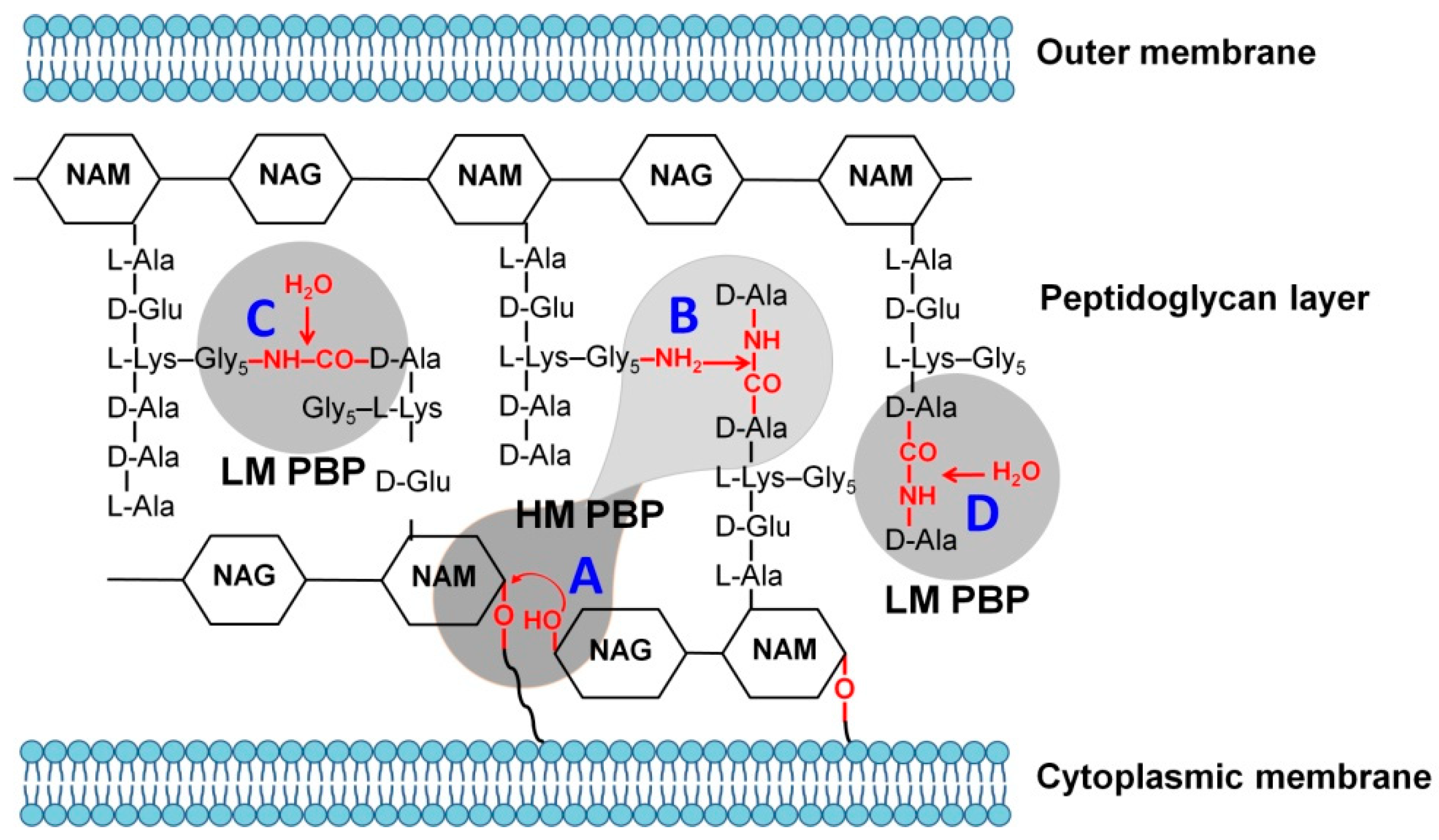Biomolecules 09 00854 g001
