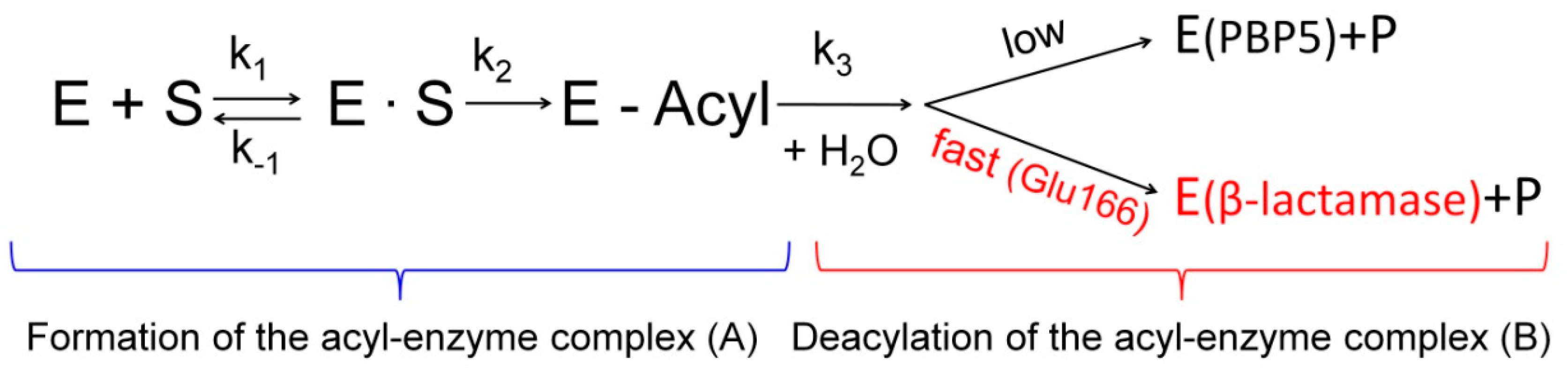 Biomolecules 09 00854 g002