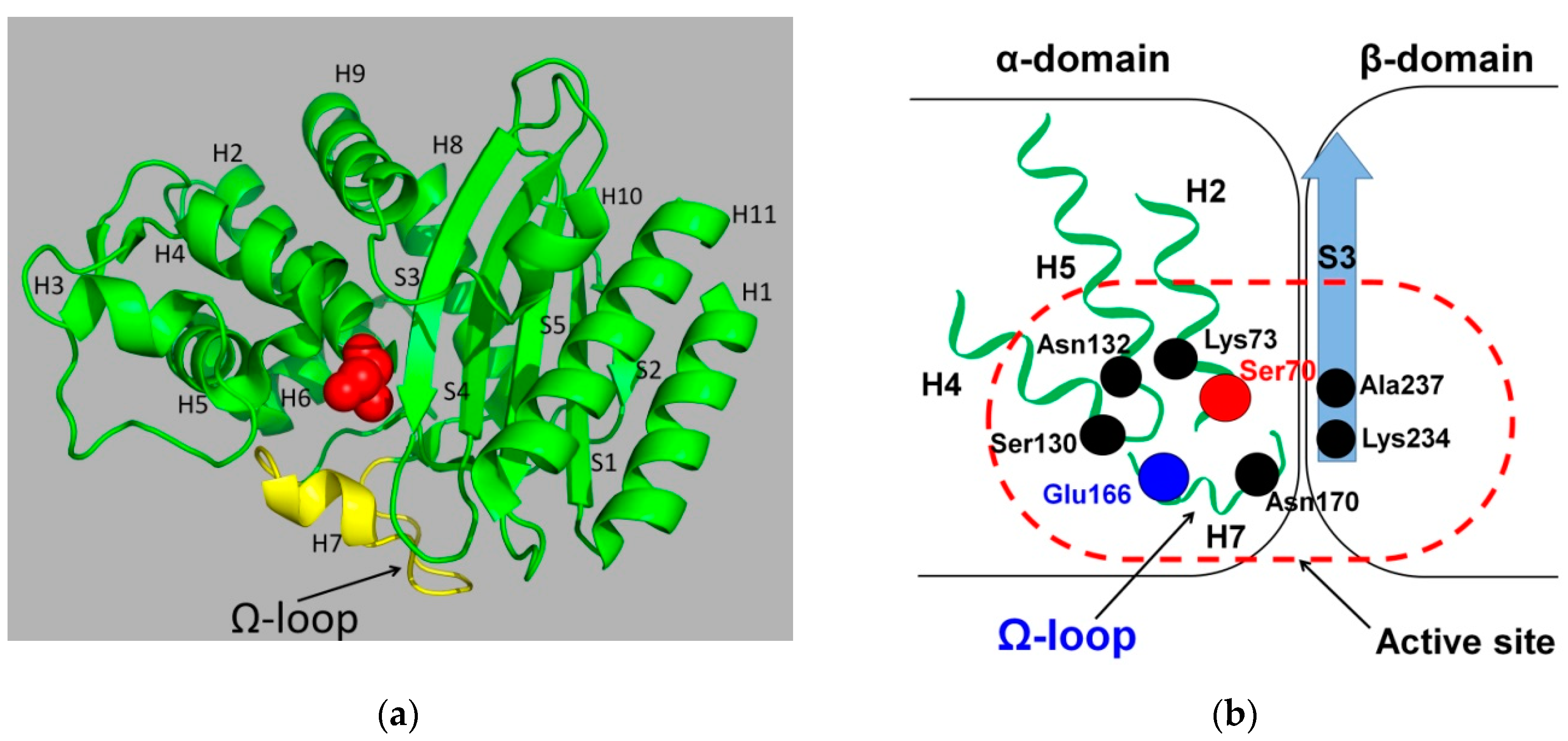 Biomolecules 09 00854 g003