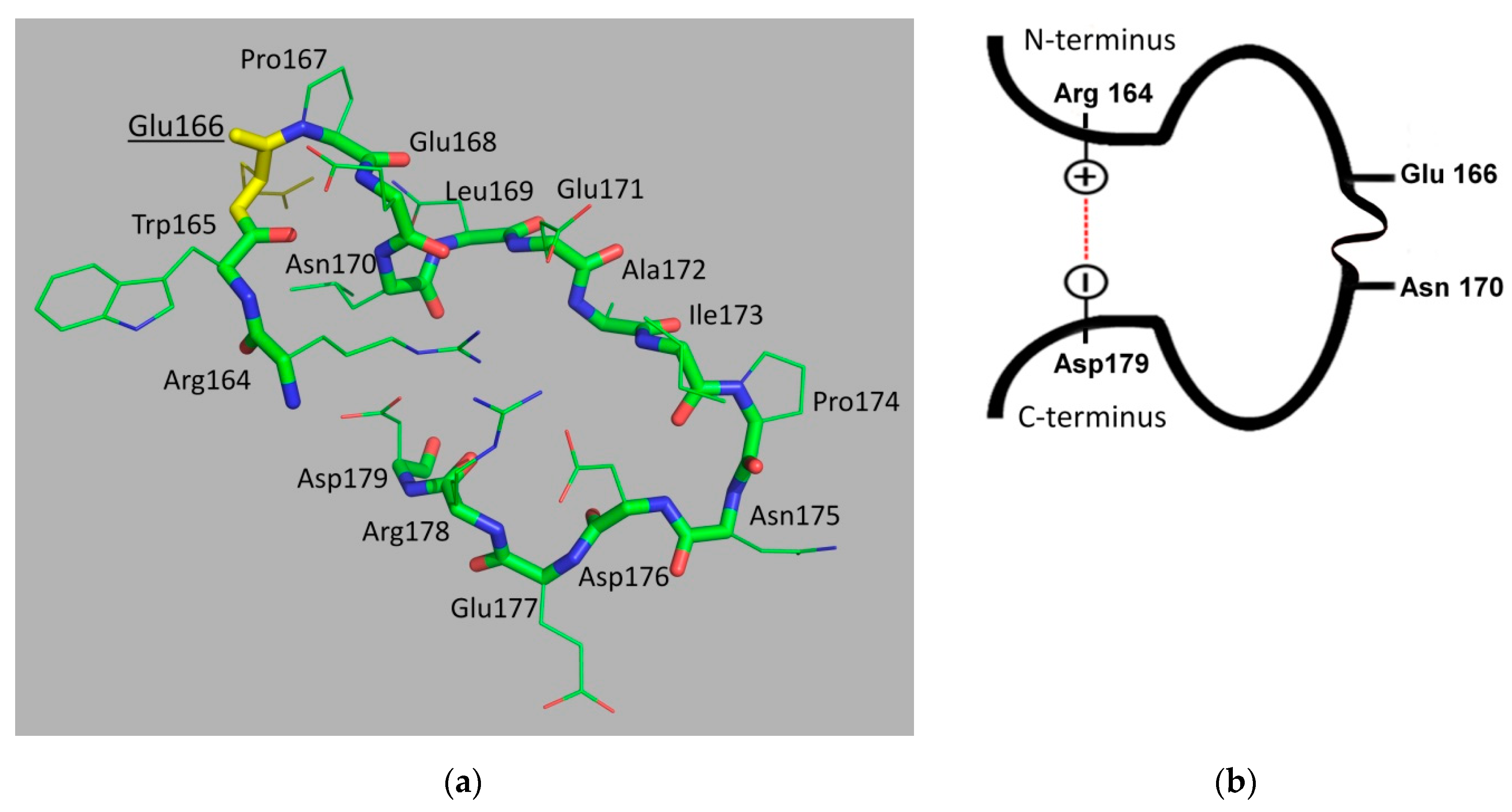 Biomolecules 09 00854 g004