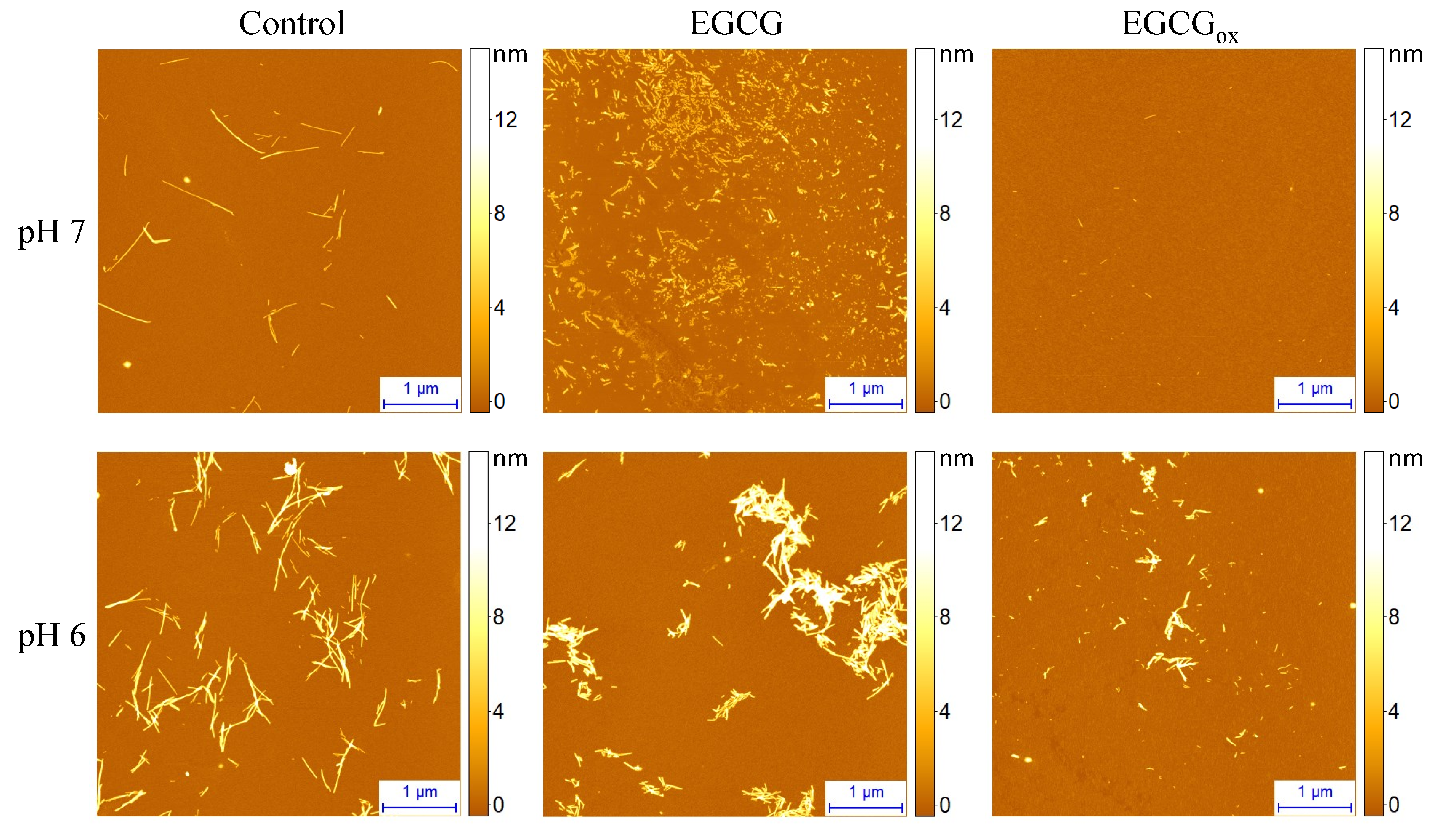 Biomolecules 09 00855 g005