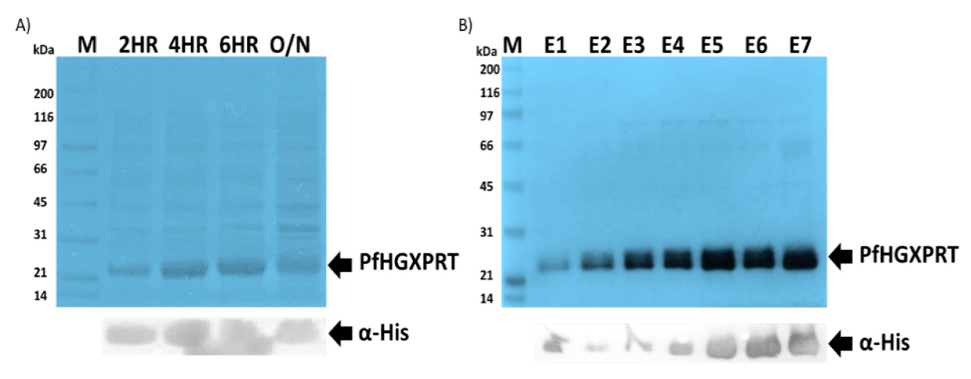 Biomolecules 09 00861 g001 Biomolecules 09 00861 g001