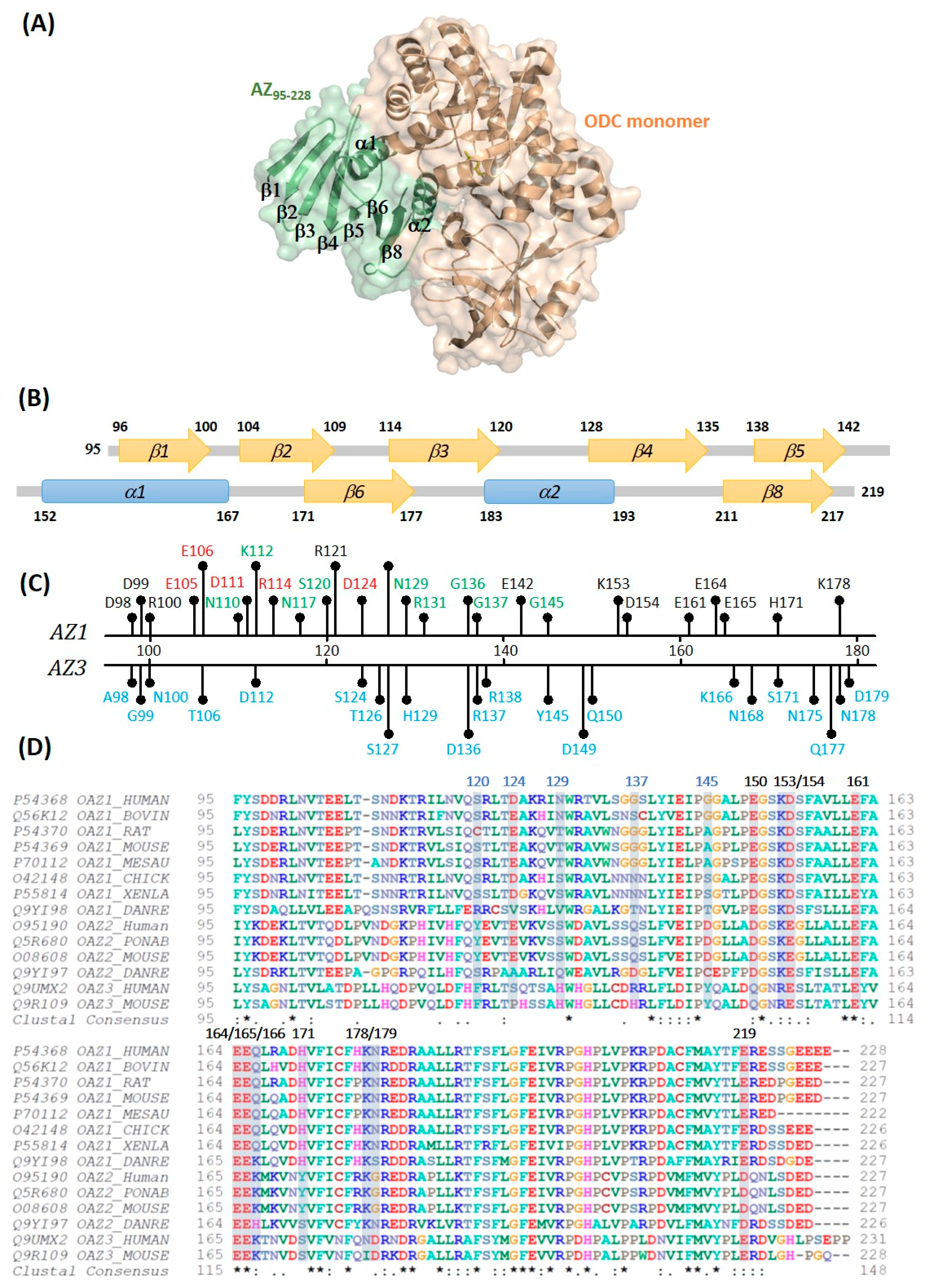 Biomolecules 09 00864 g001