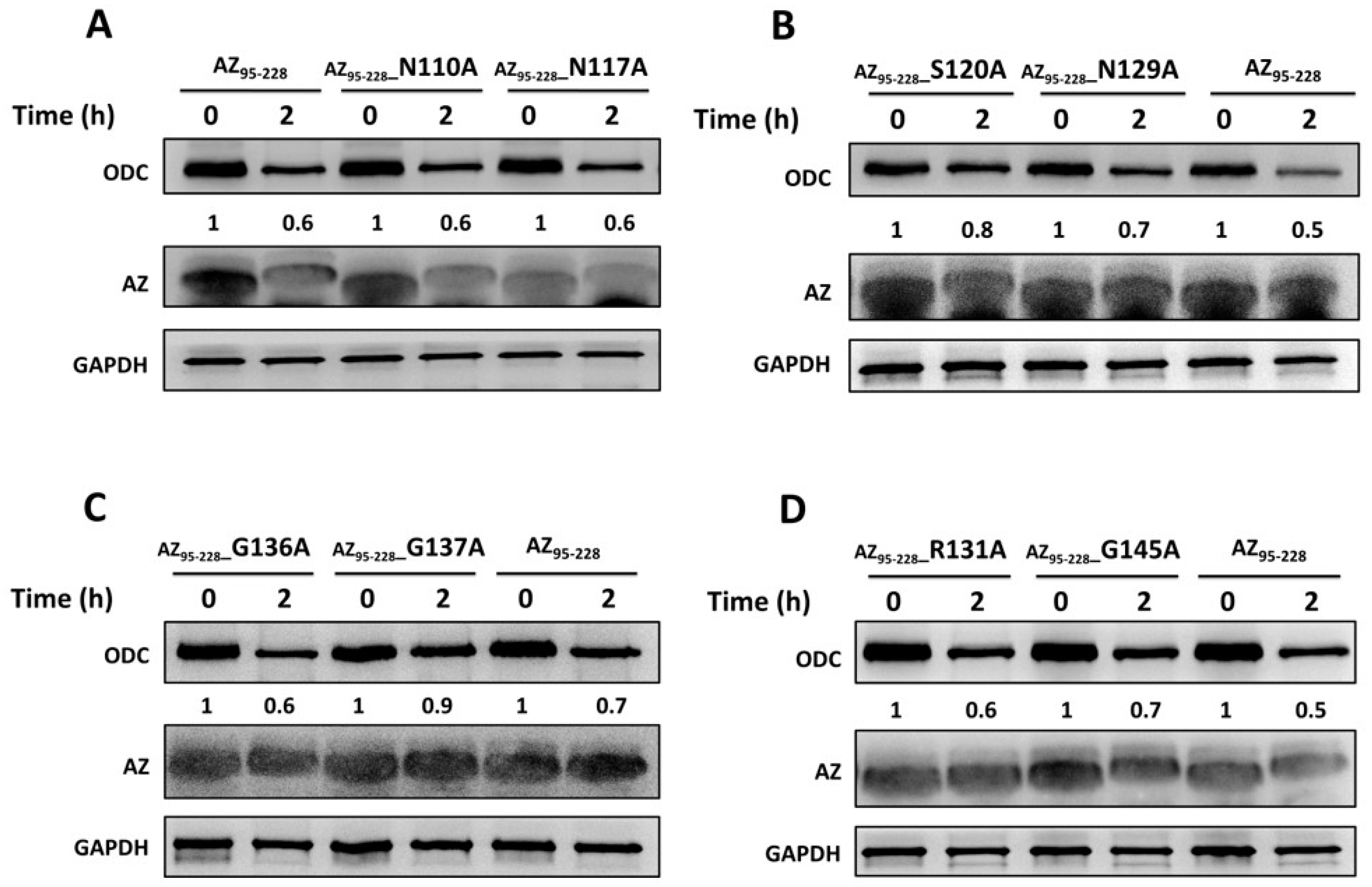 Biomolecules 09 00864 g004