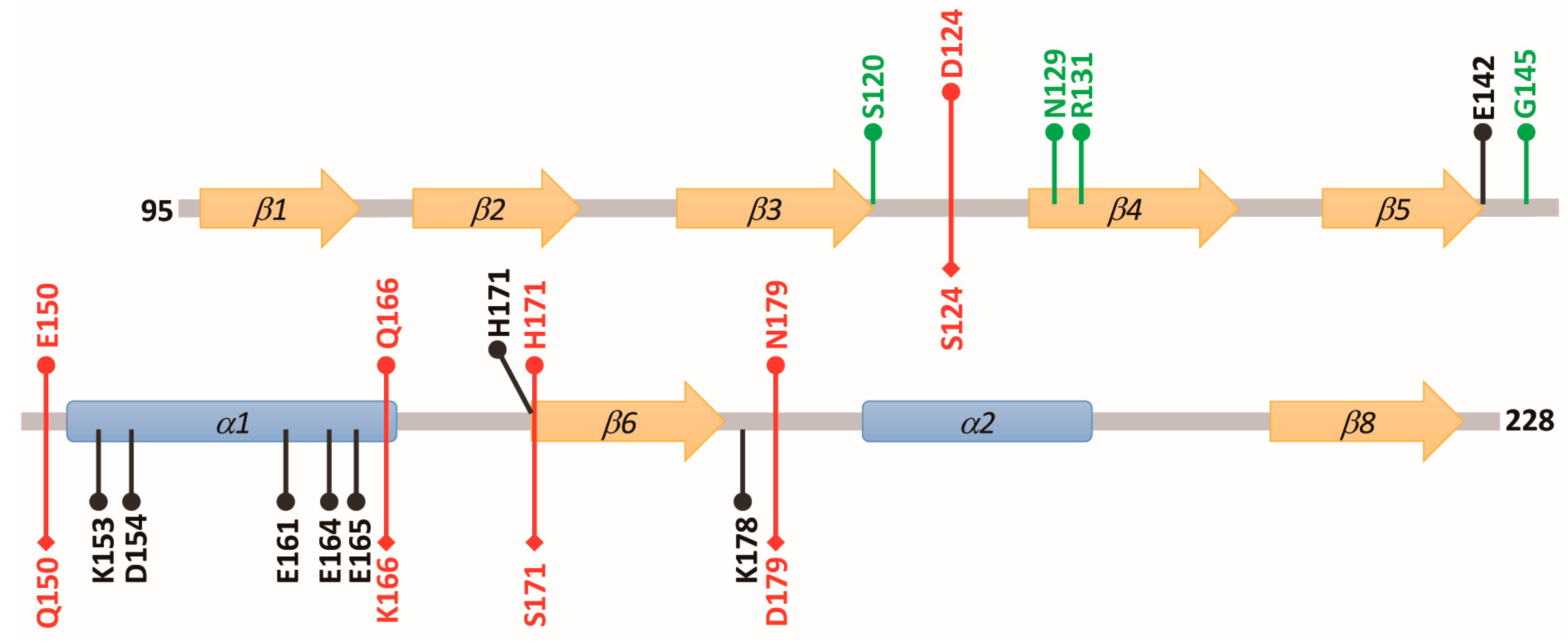 Biomolecules 09 00864 g007