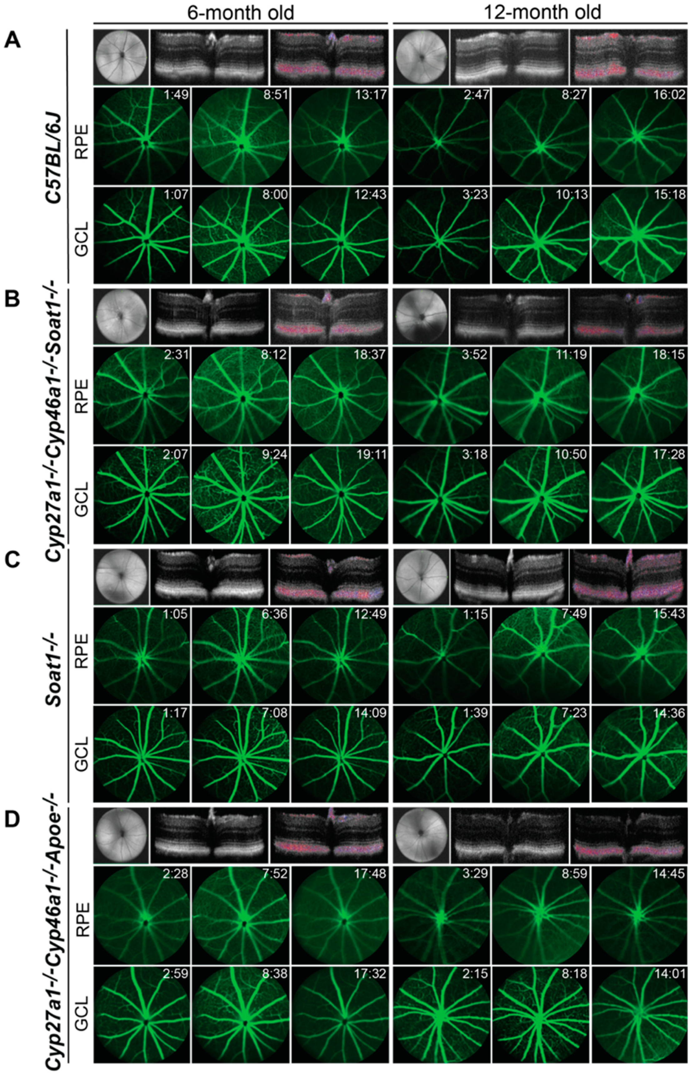 Biomolecules 09 00867 g002