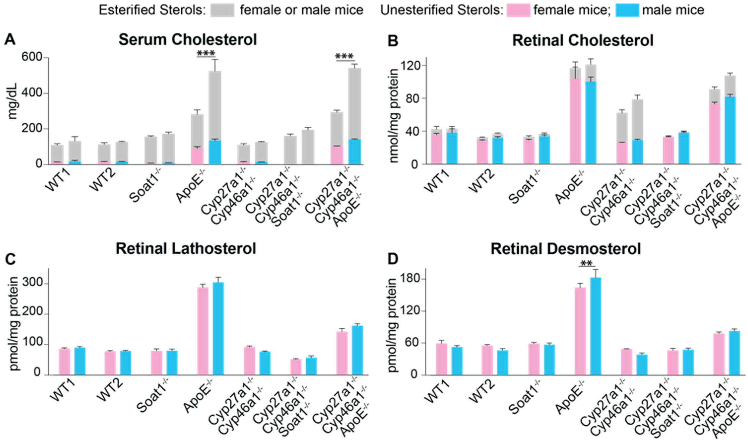 Biomolecules 09 00867 g004