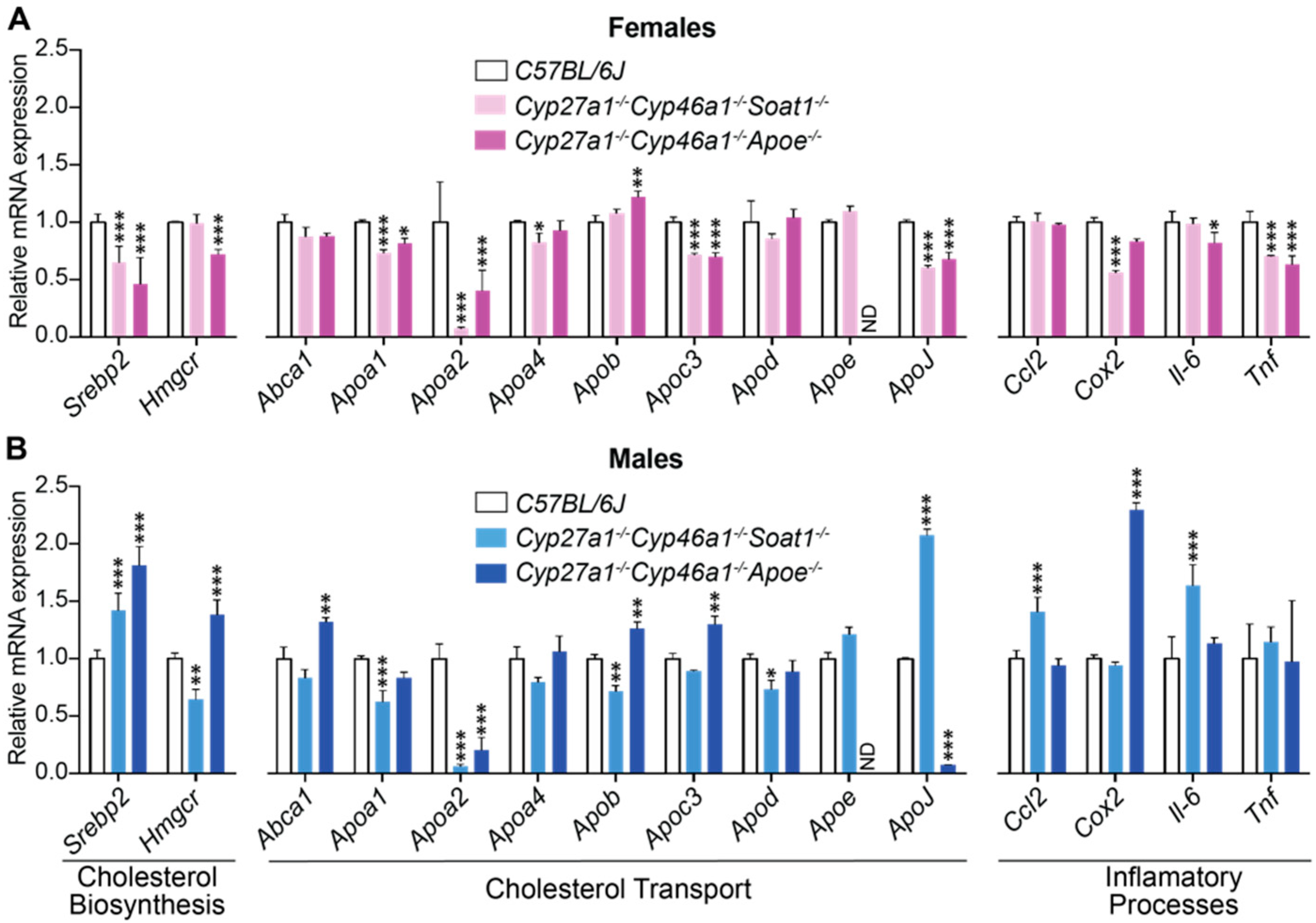 Biomolecules 09 00867 g005