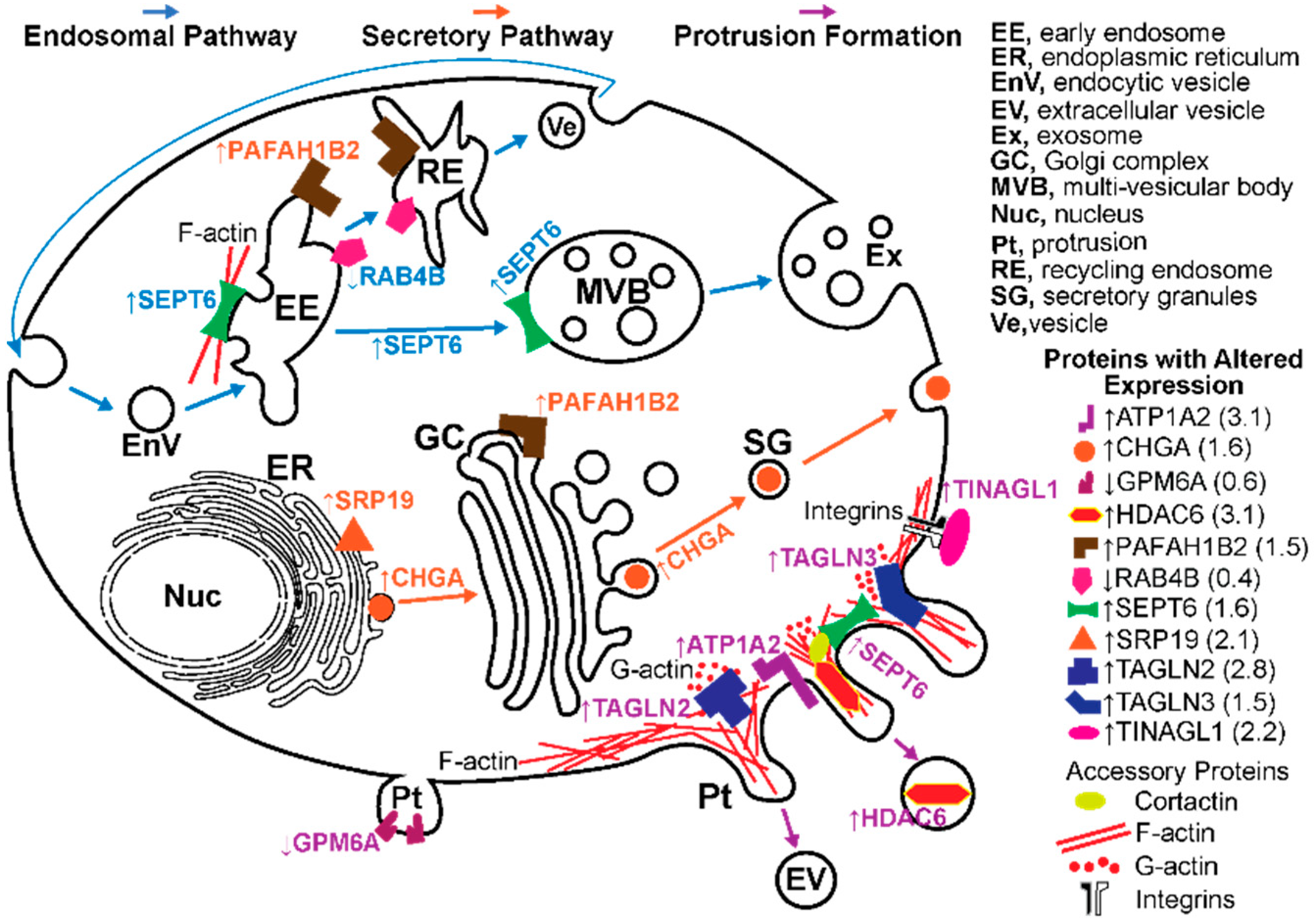Biomolecules 09 00867 g006
