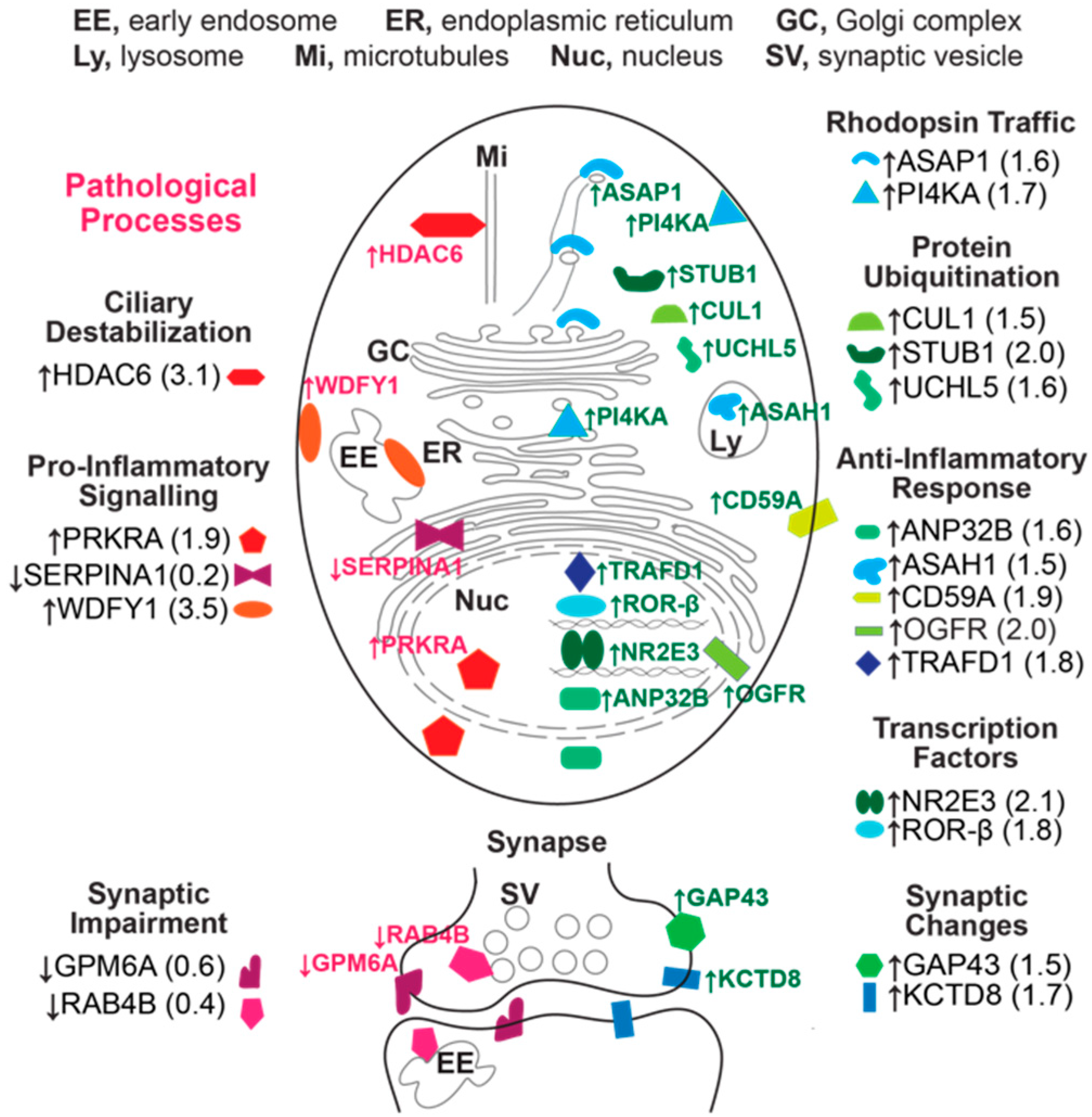 Biomolecules 09 00867 g011