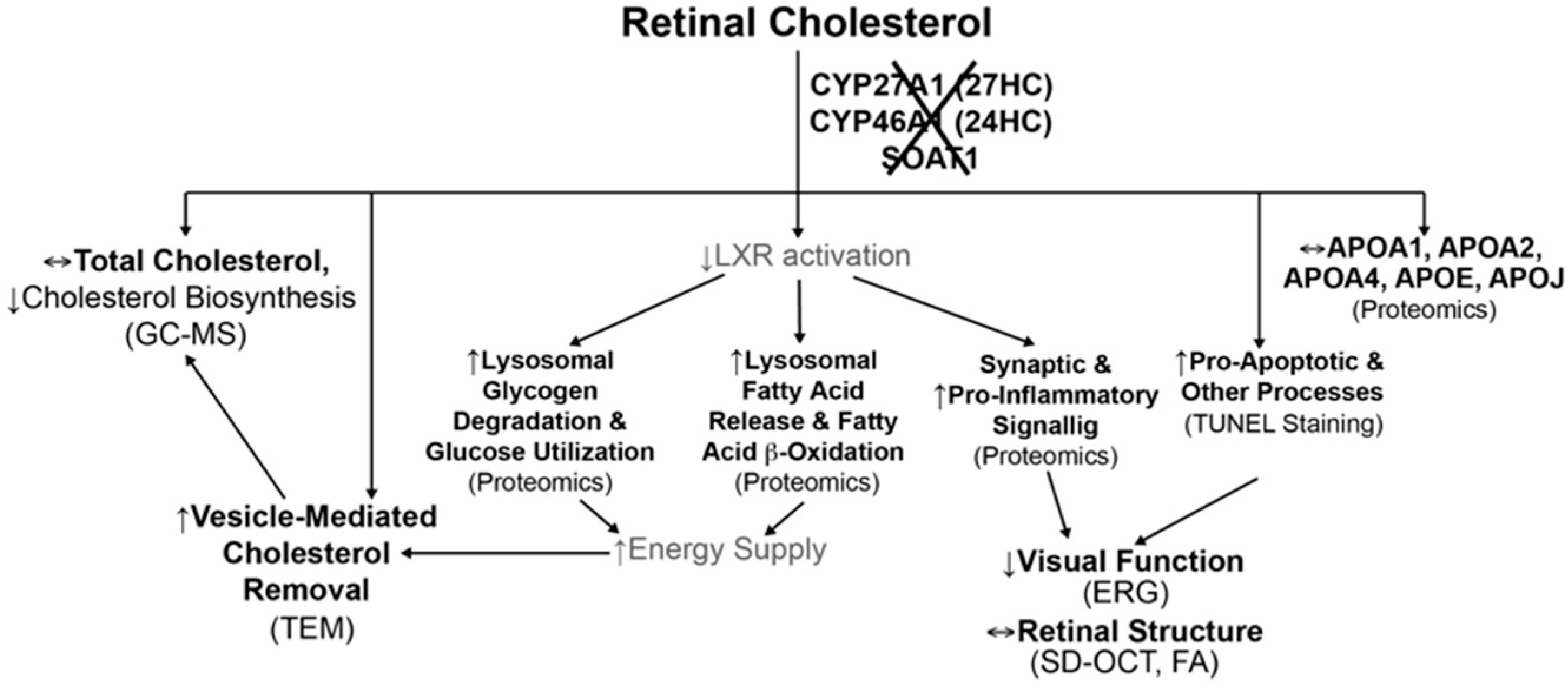 Biomolecules 09 00867 g012