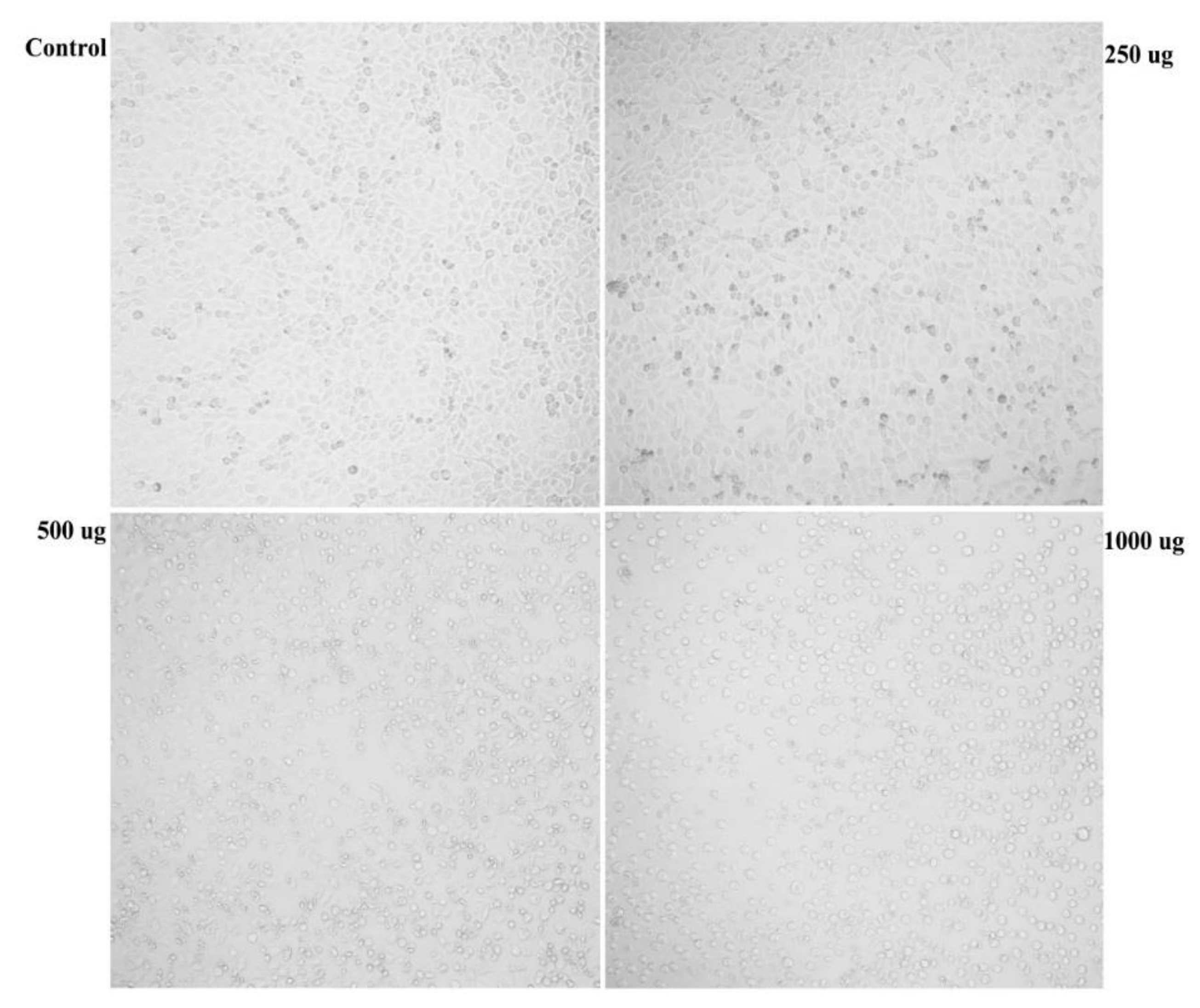 Biomolecules 09 00871 g004