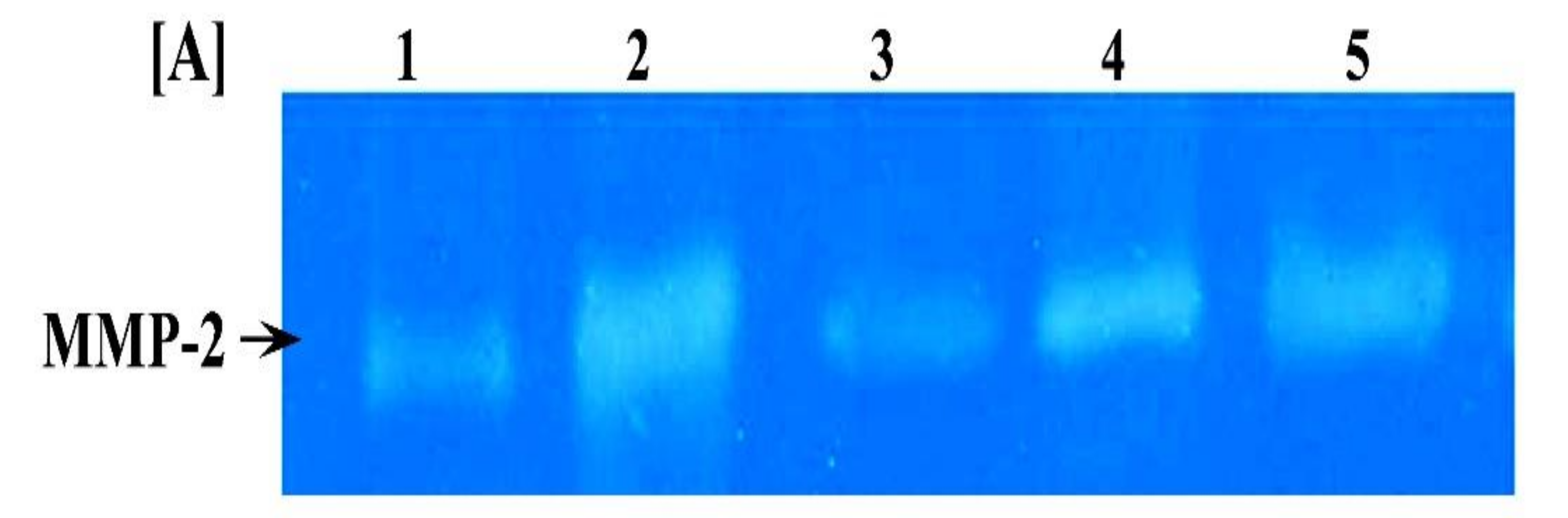 Biomolecules 09 00871 g006a