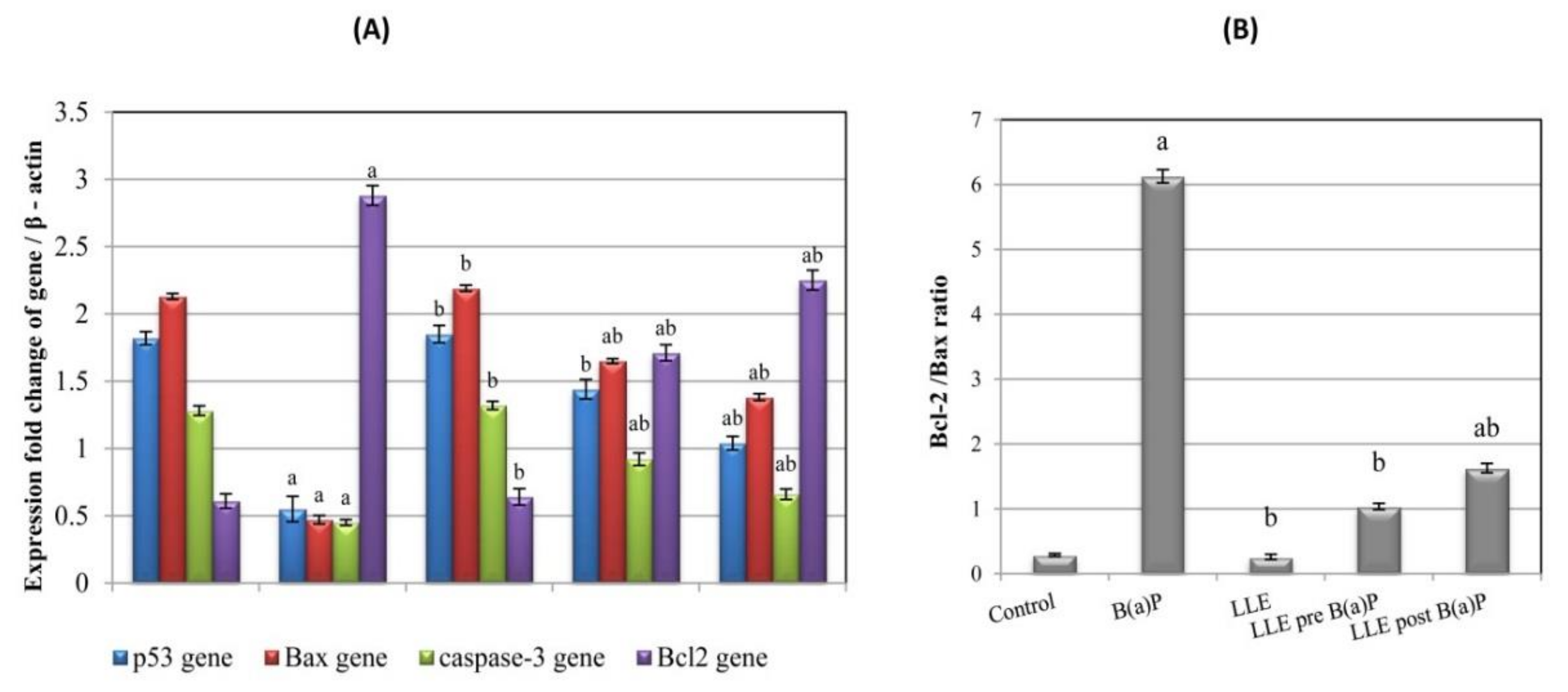 Biomolecules 09 00871 g008