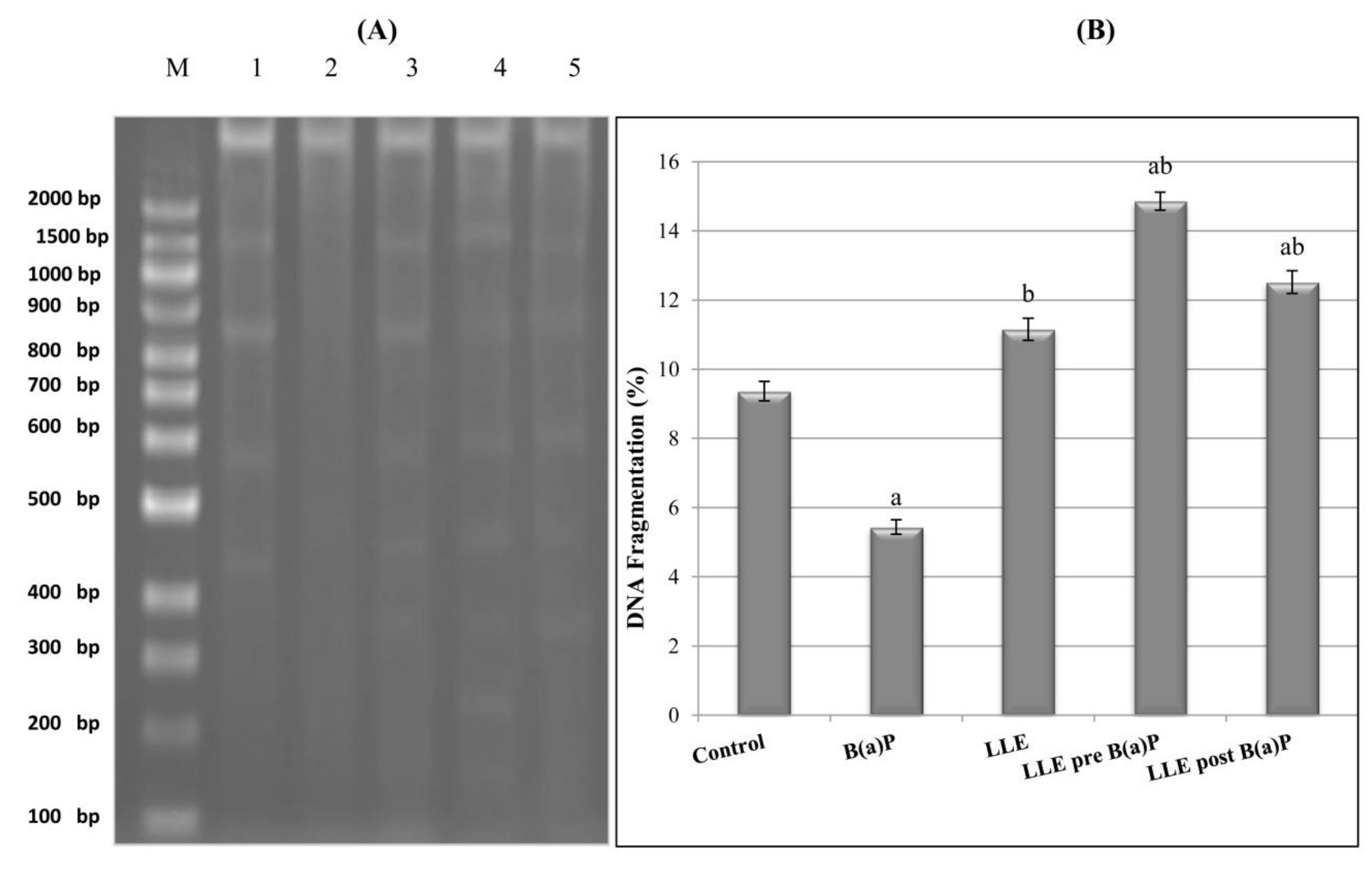 Biomolecules 09 00871 g009