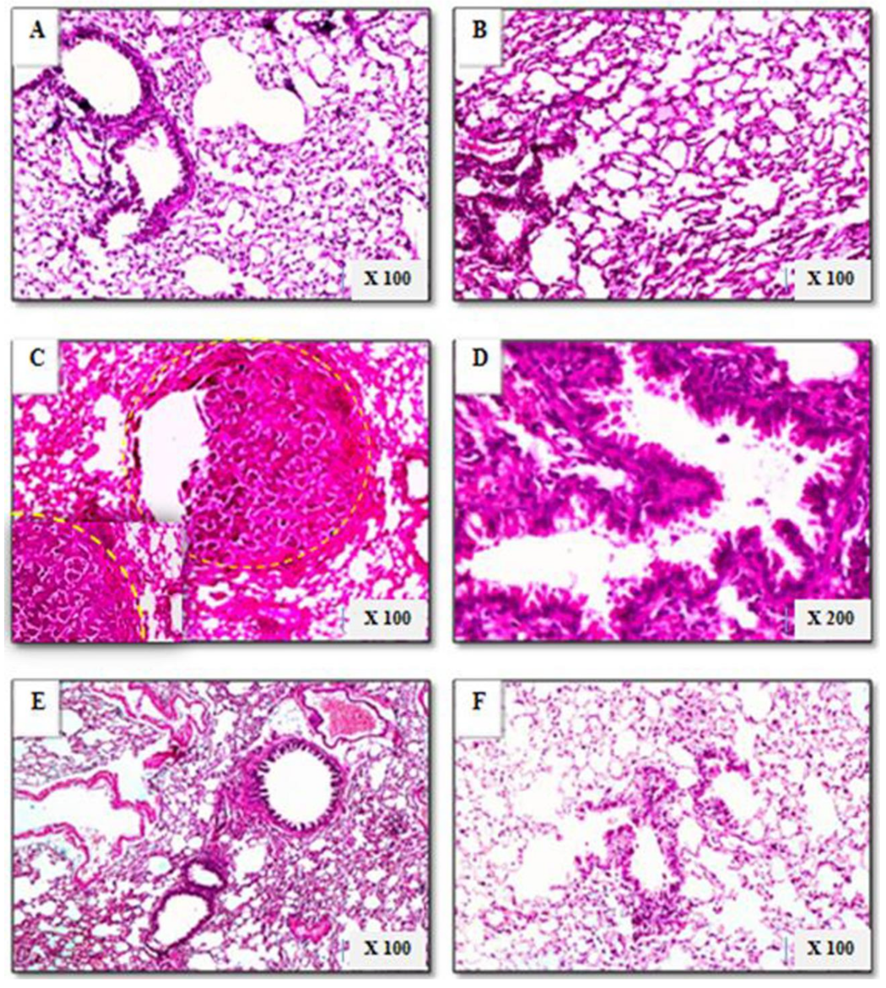 Biomolecules 09 00871 g010