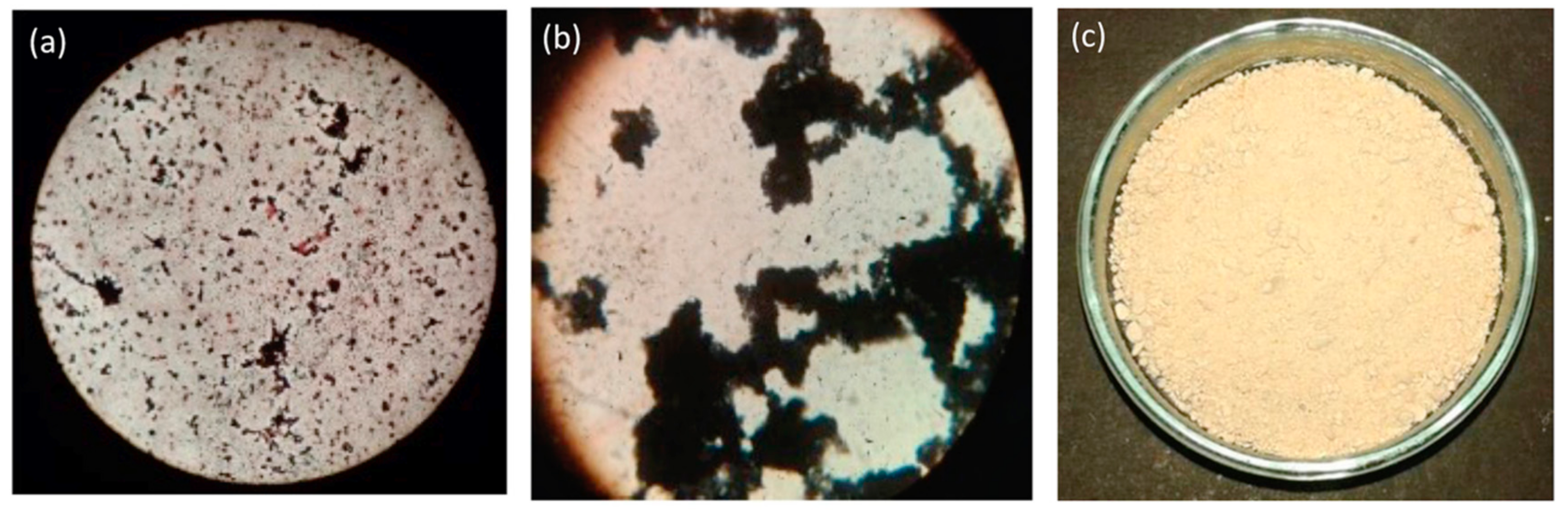 Biomolecules 09 00872 g001 Biomolecules 09 00872 g001