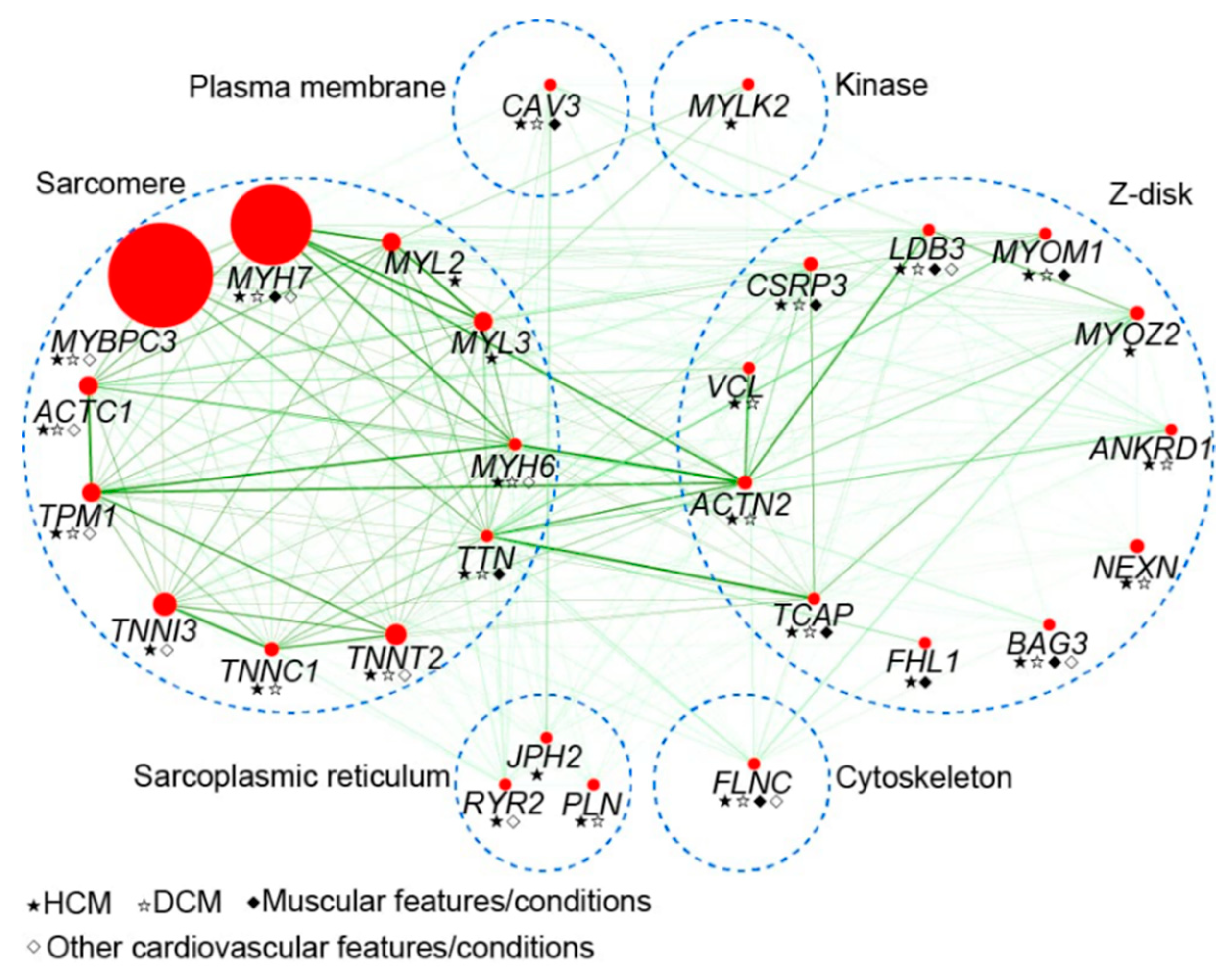 Biomolecules 09 00878 g001