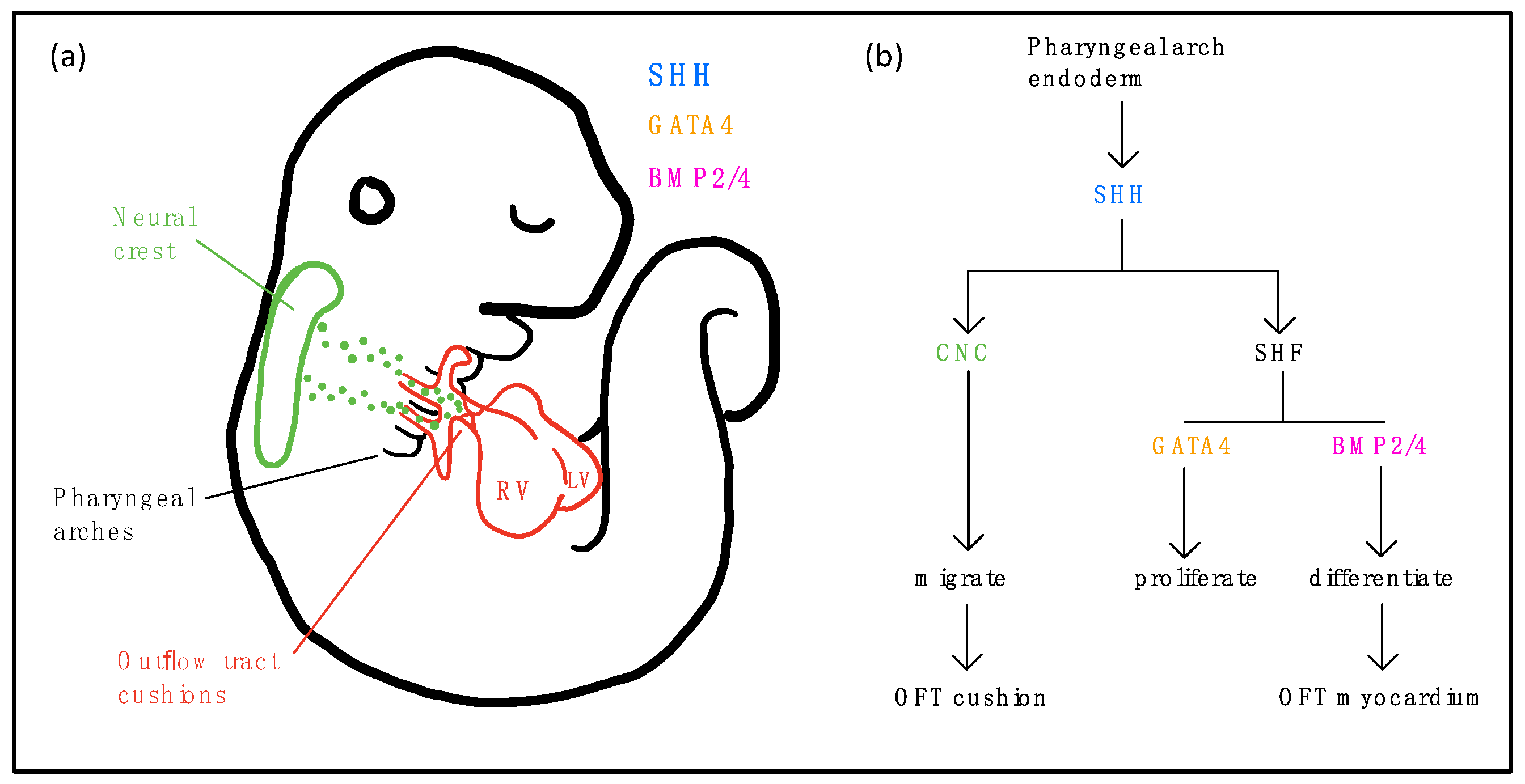 Biomolecules 09 00879 g001