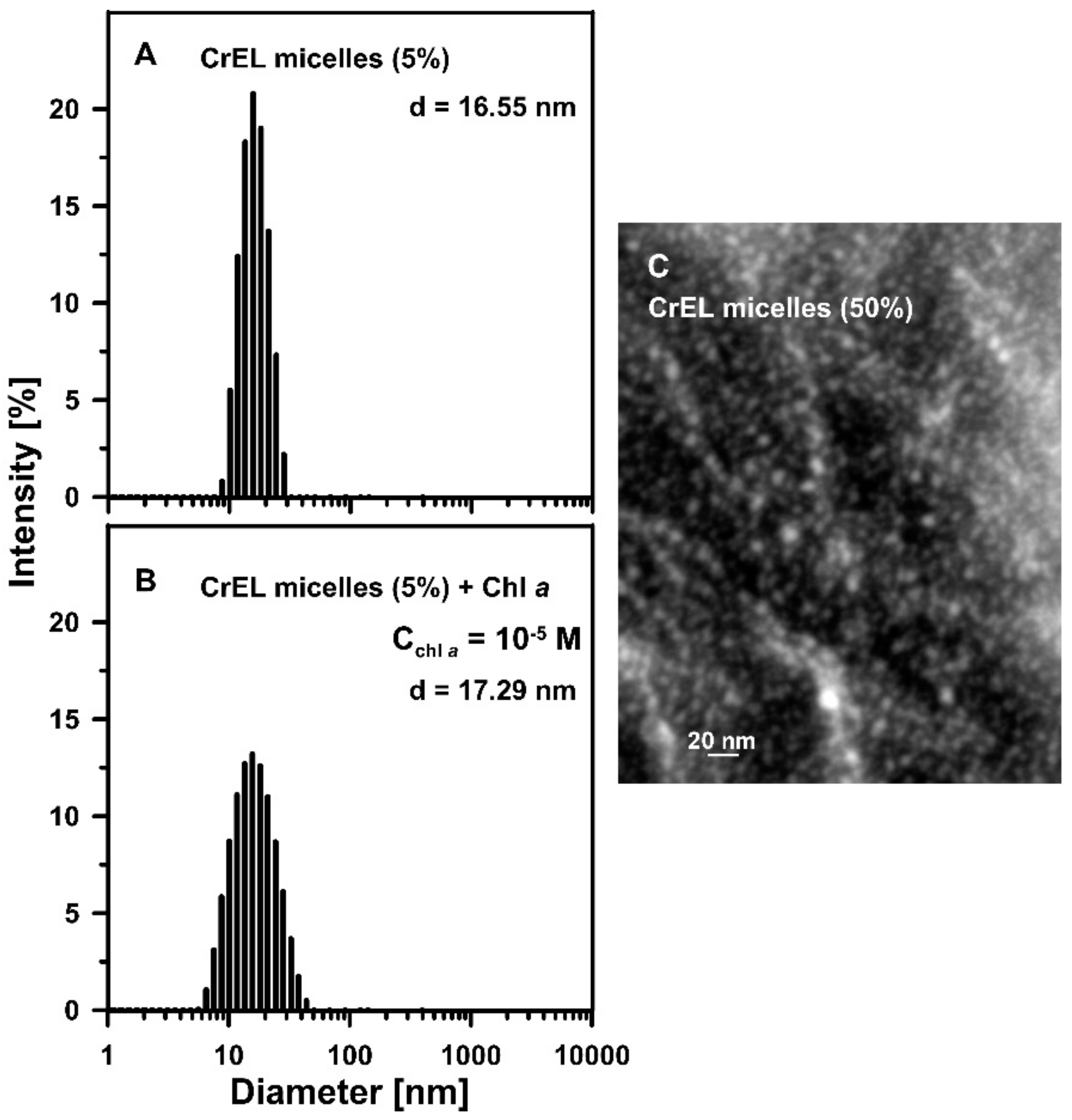 Biomolecules 09 00881 g003