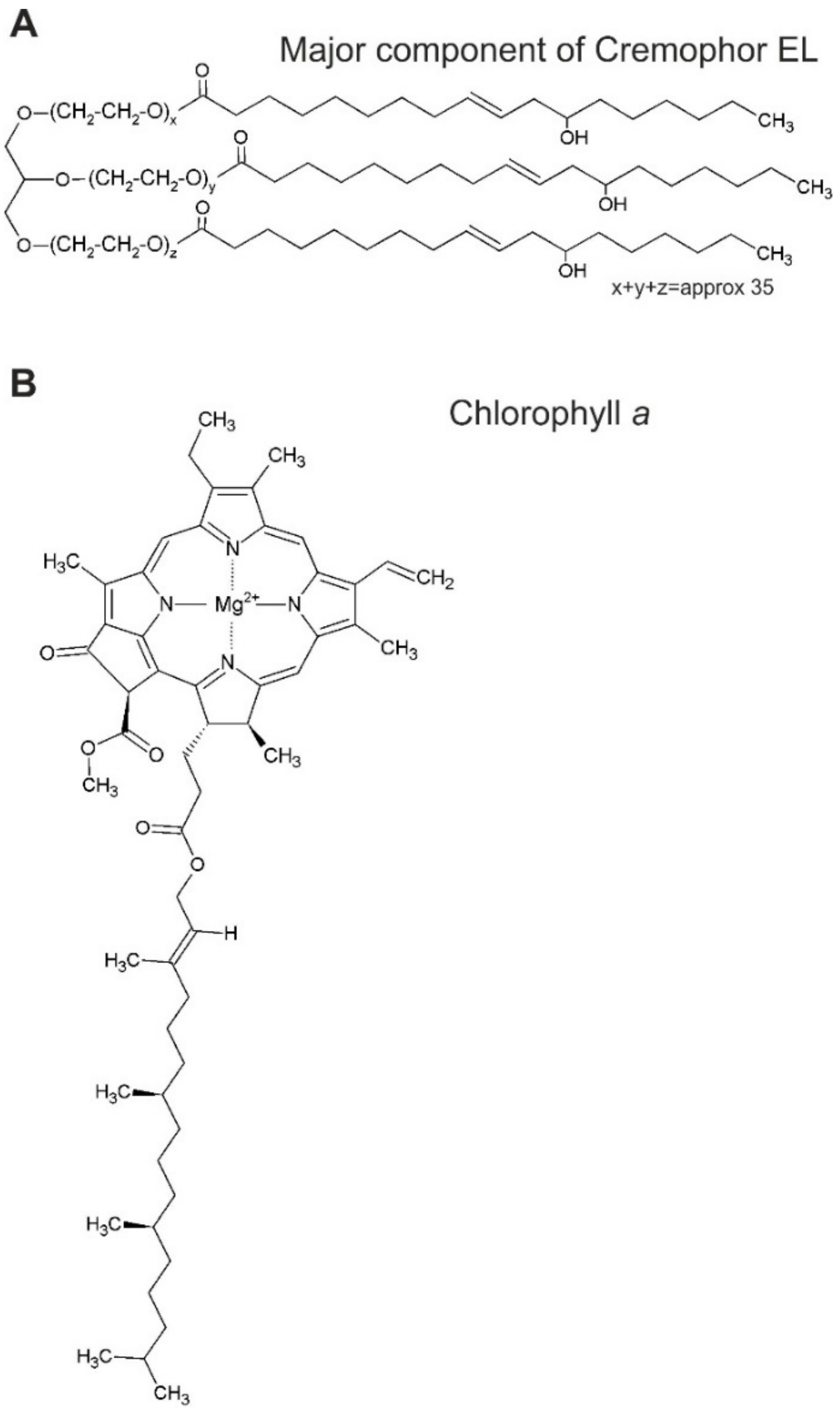 Biomolecules 09 00881 sch001