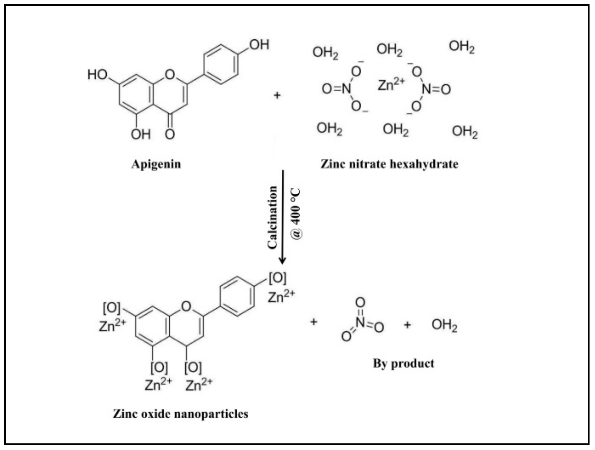 Biomolecules 09 00882 g001 Biomolecules 09 00882 g001