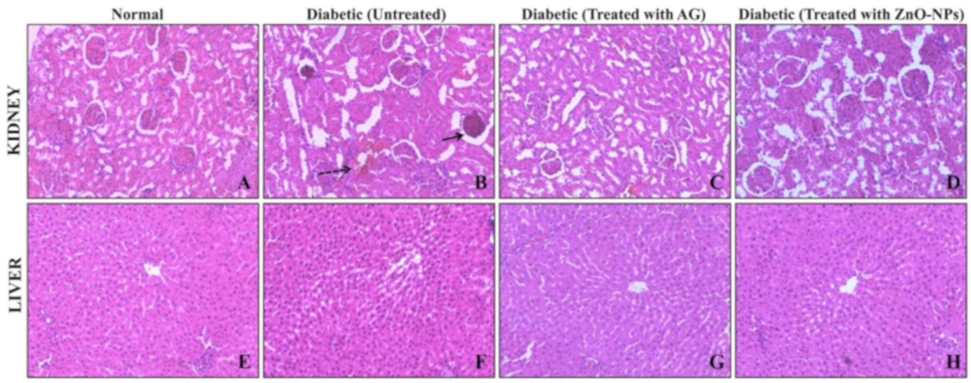 Biomolecules 09 00882 g008 Biomolecules 09 00882 g008