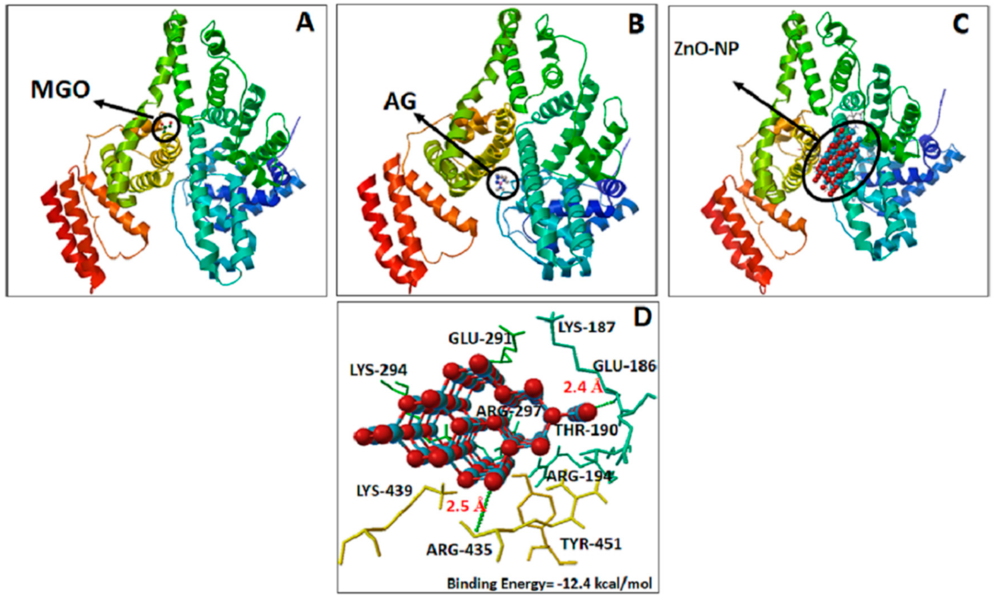 Biomolecules 09 00882 g009 Biomolecules 09 00882 g009
