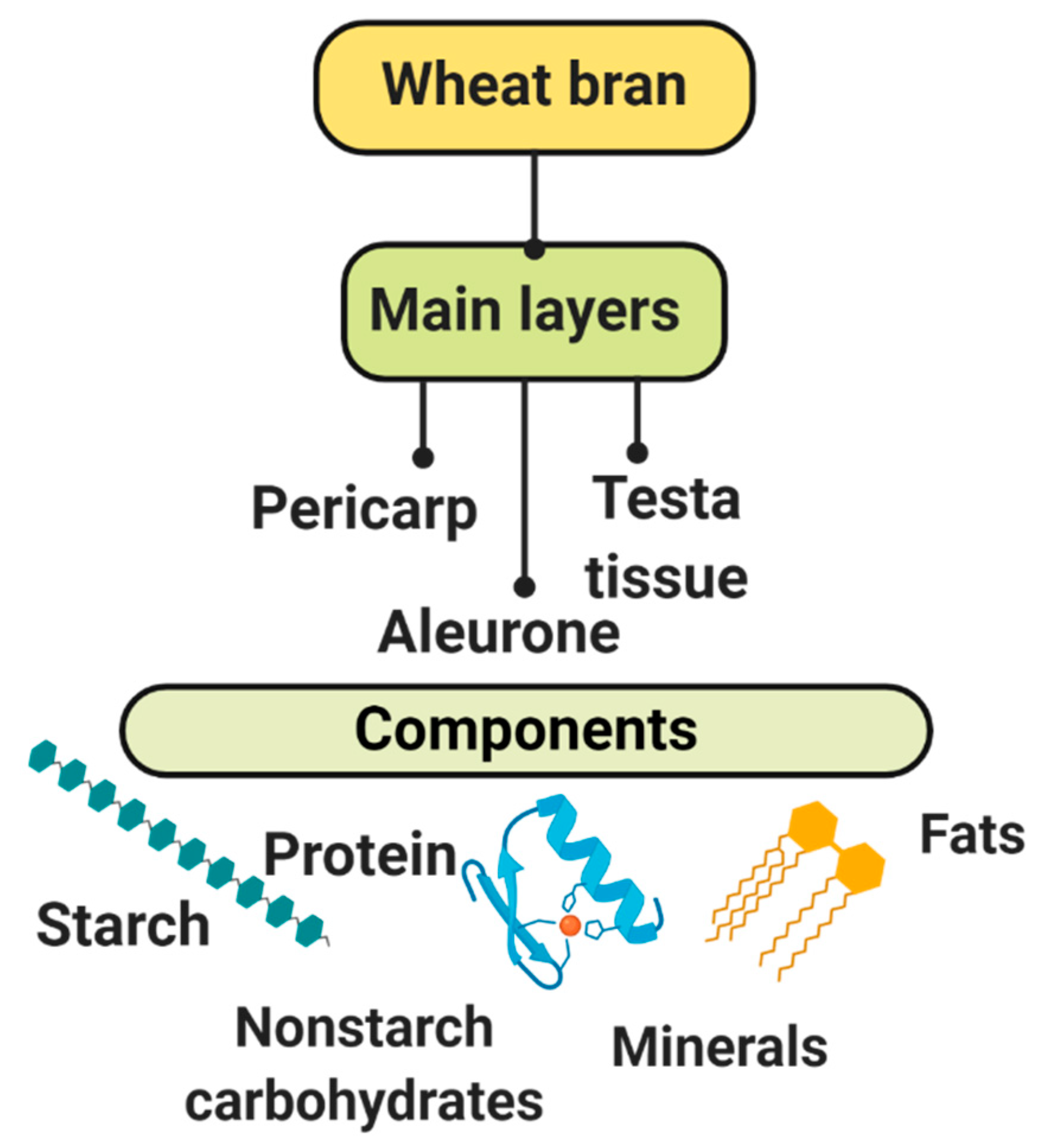 Biomolecules 09 00887 g001 Biomolecules 09 00887 g001