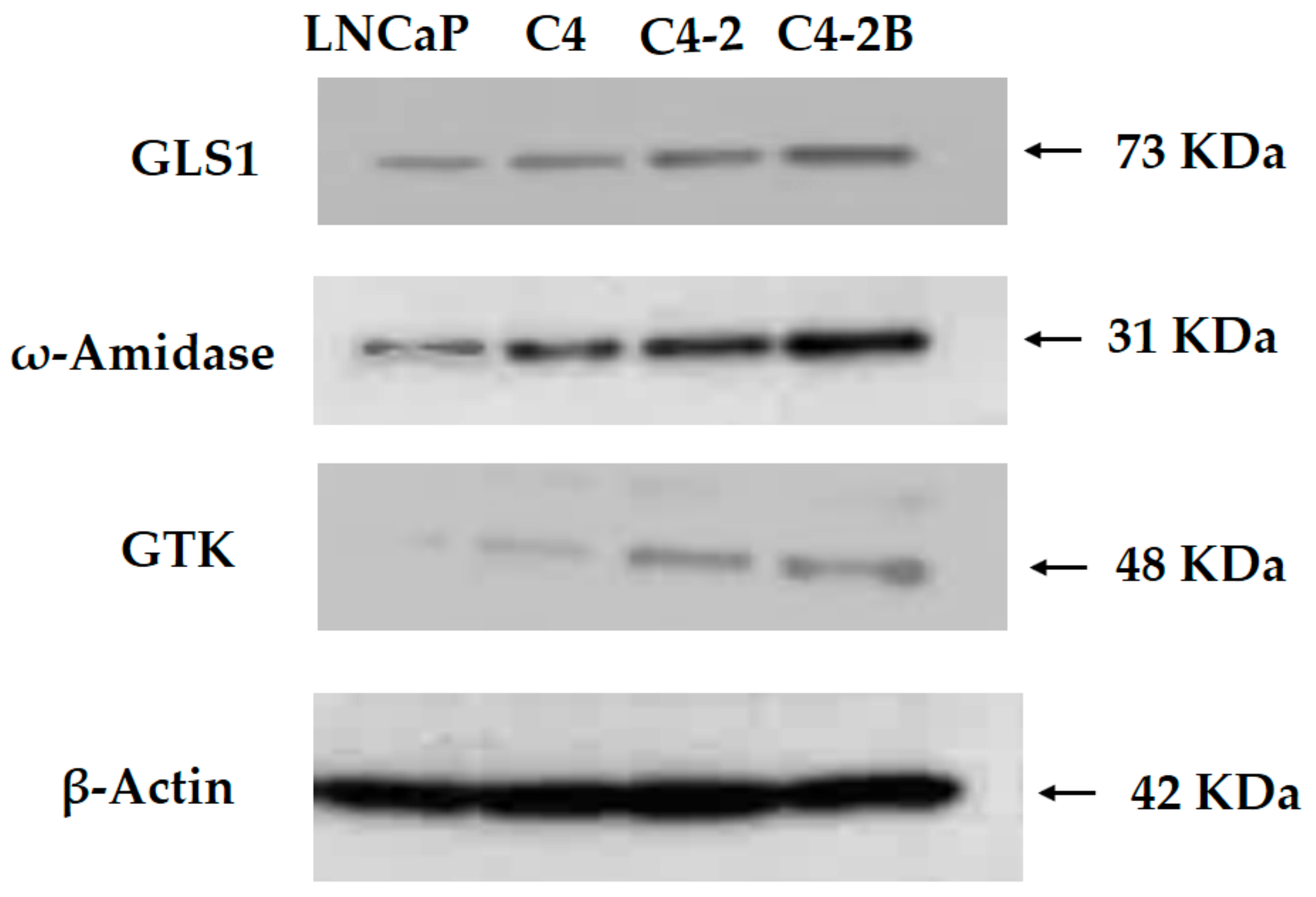 Biomolecules 10 00002 g001