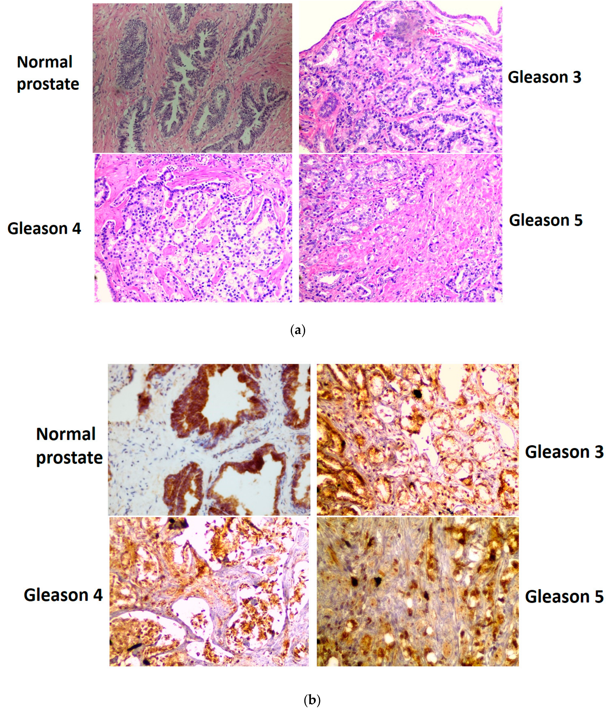 Biomolecules 10 00002 g003a