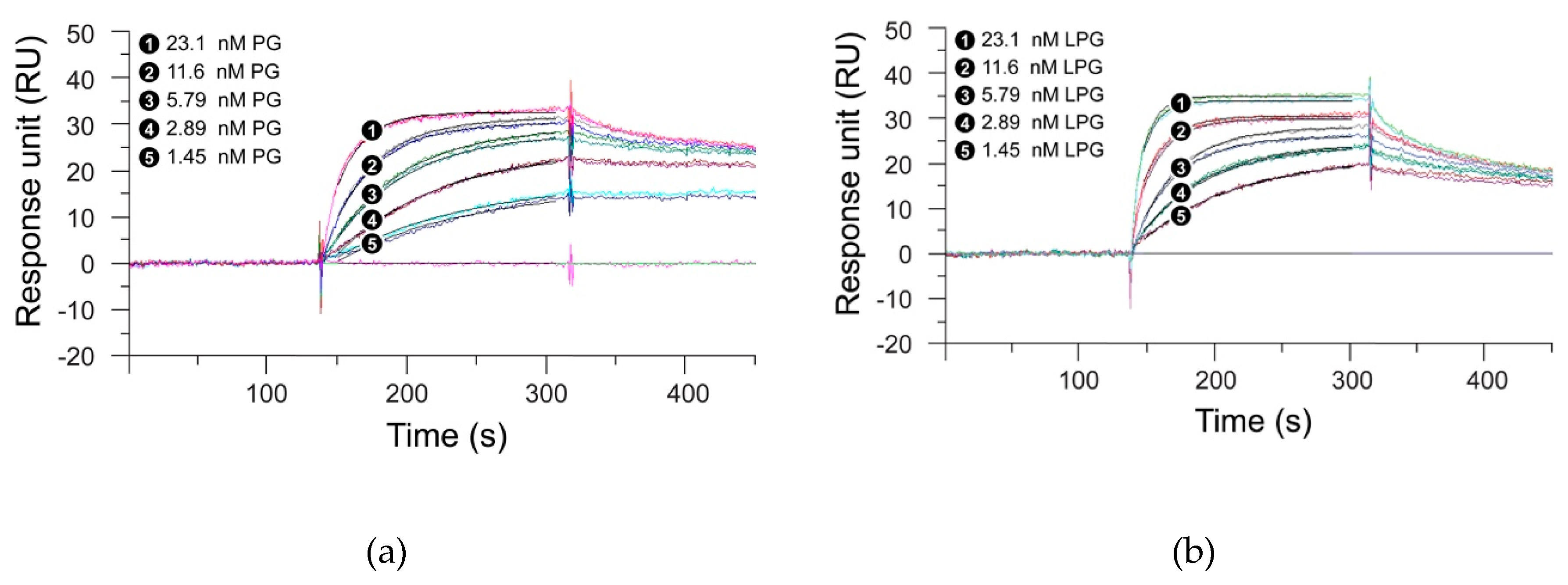 Biomolecules 10 00004 g003