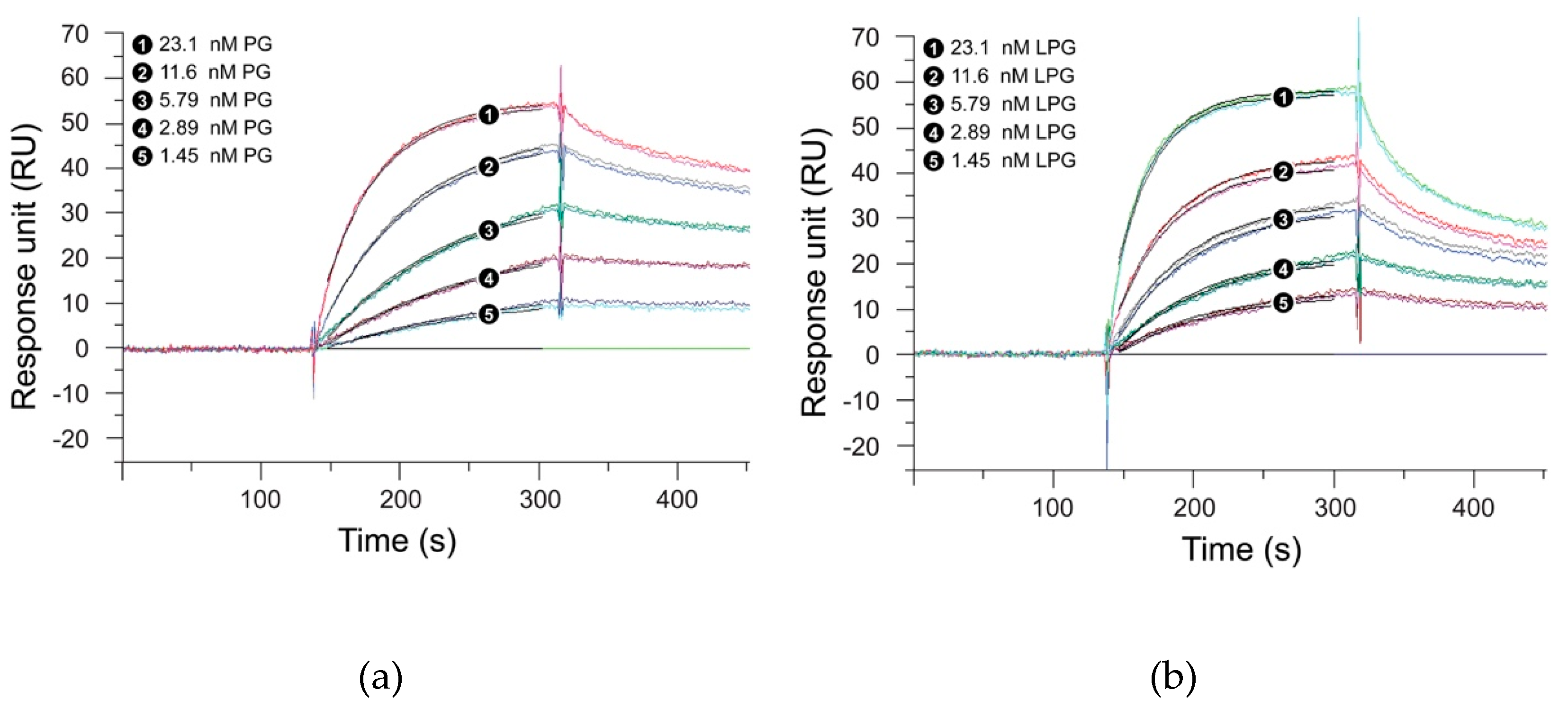 Biomolecules 10 00004 g004