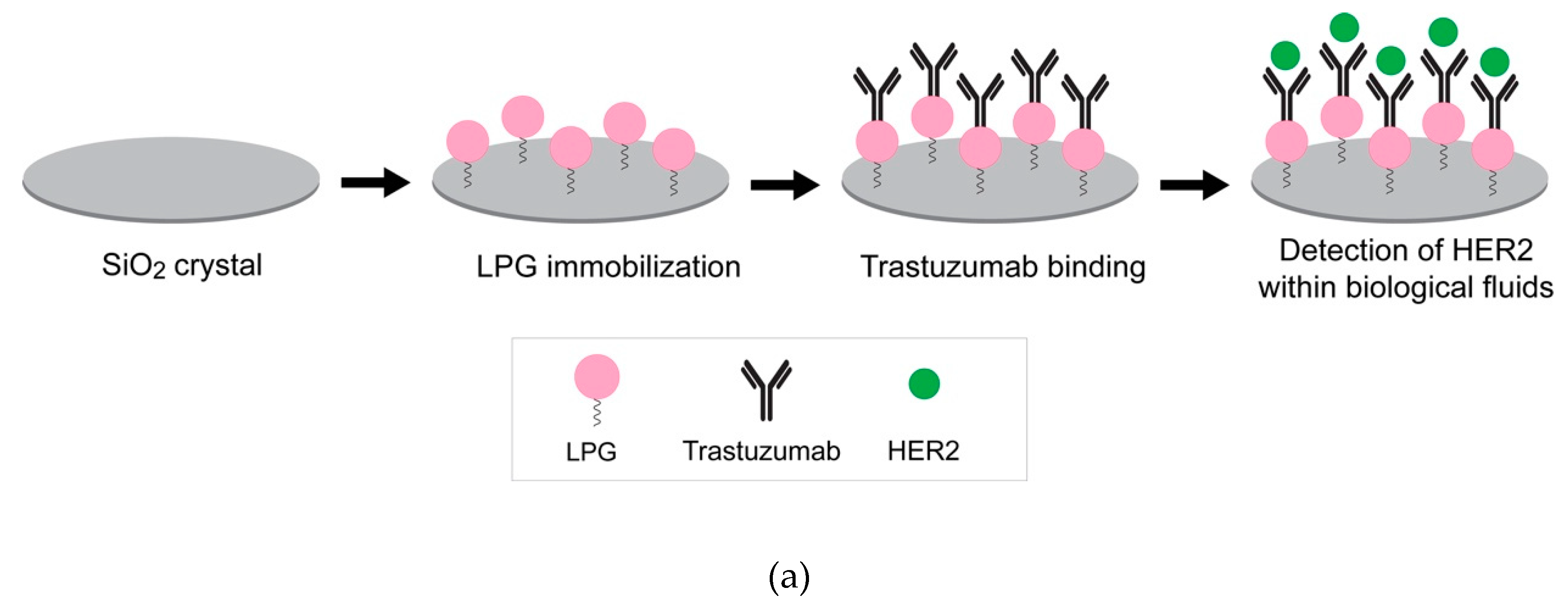 Biomolecules 10 00004 g007a