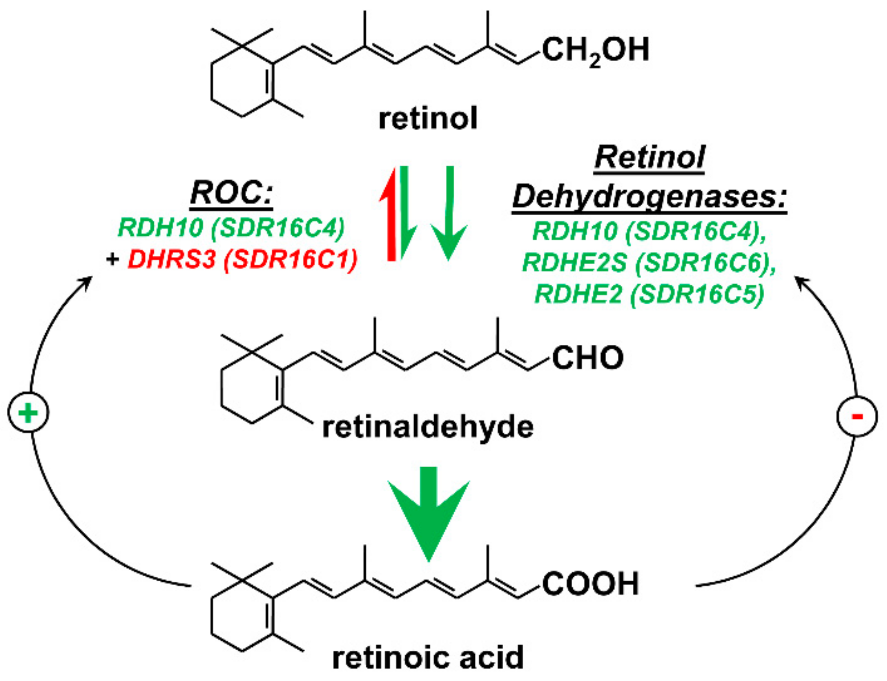 Biomolecules 10 00005 g001