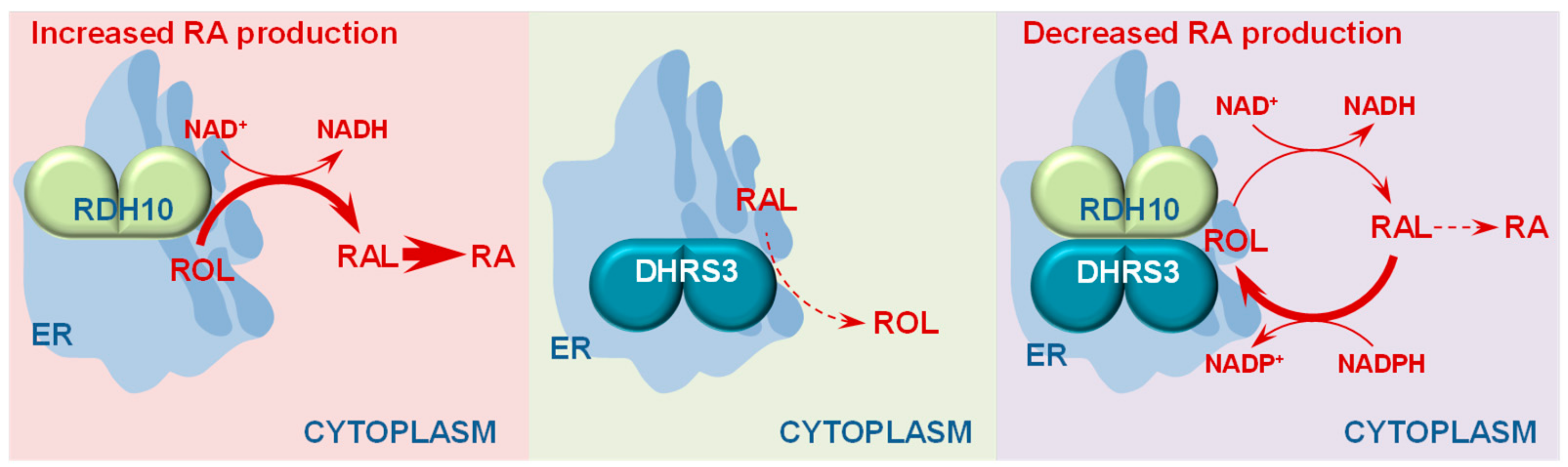 Biomolecules 10 00005 g002