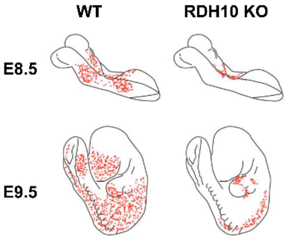 Biomolecules 10 00005 g003