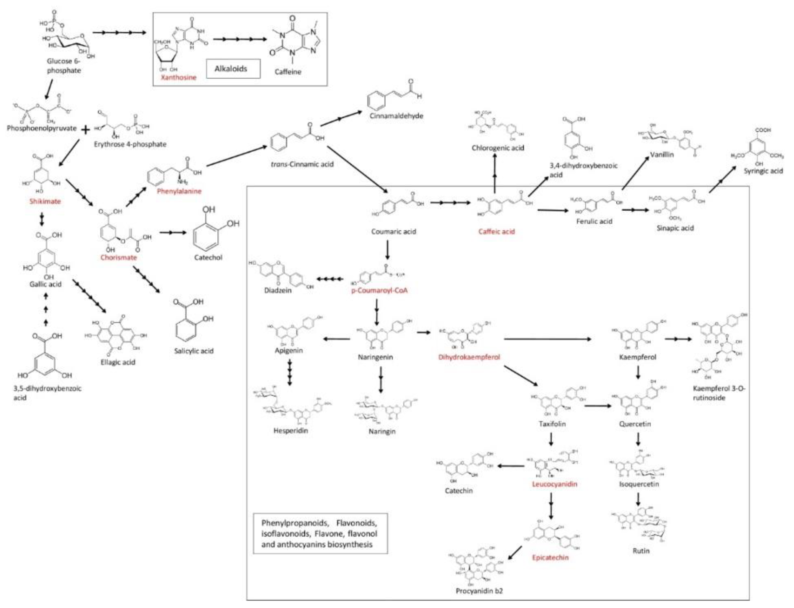 Biomolecules 10 00006 g001