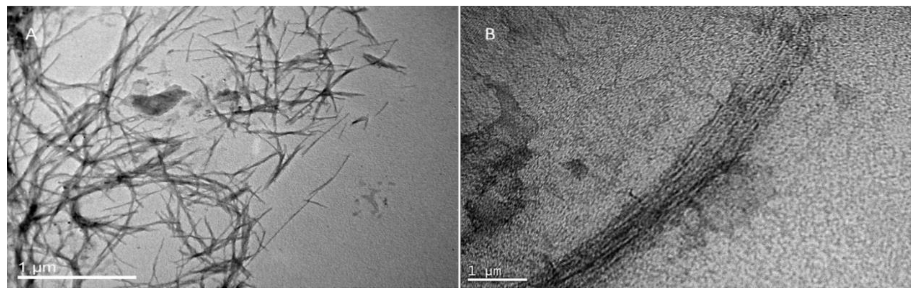 Biomolecules 10 00007 g007 Biomolecules 10 00007 g007