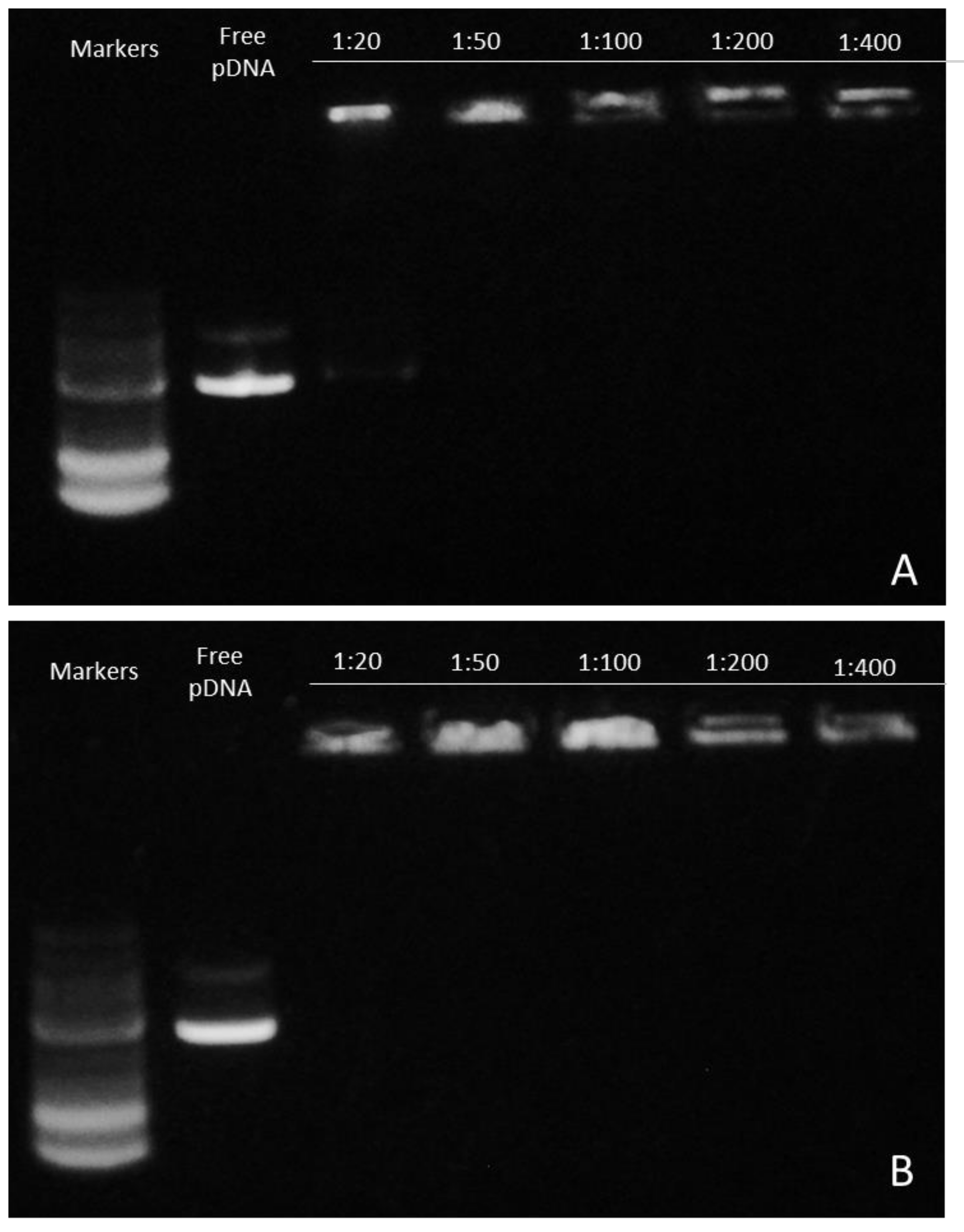 Biomolecules 10 00007 g008 Biomolecules 10 00007 g008